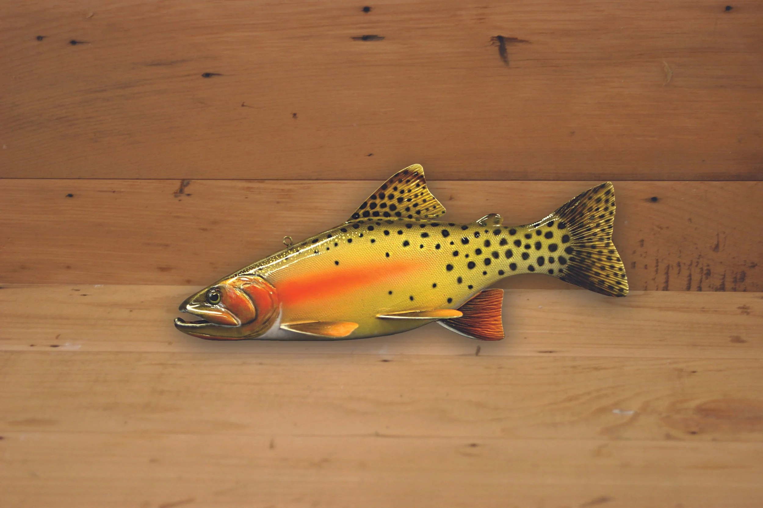 10" Airbrush Cutthroat Trout by Harley Ragan