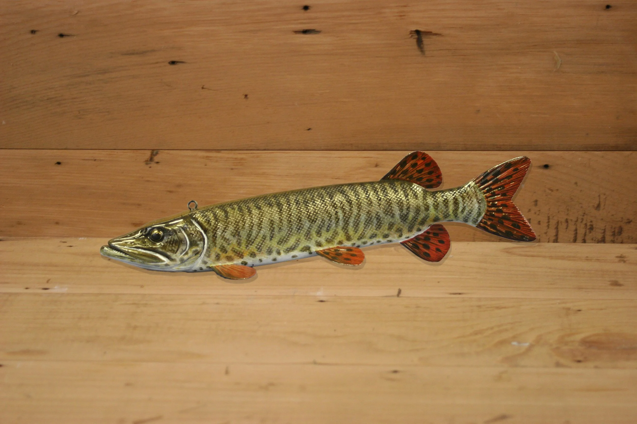 10" Hand Painted Tiger Muskie by Jacob Sazama