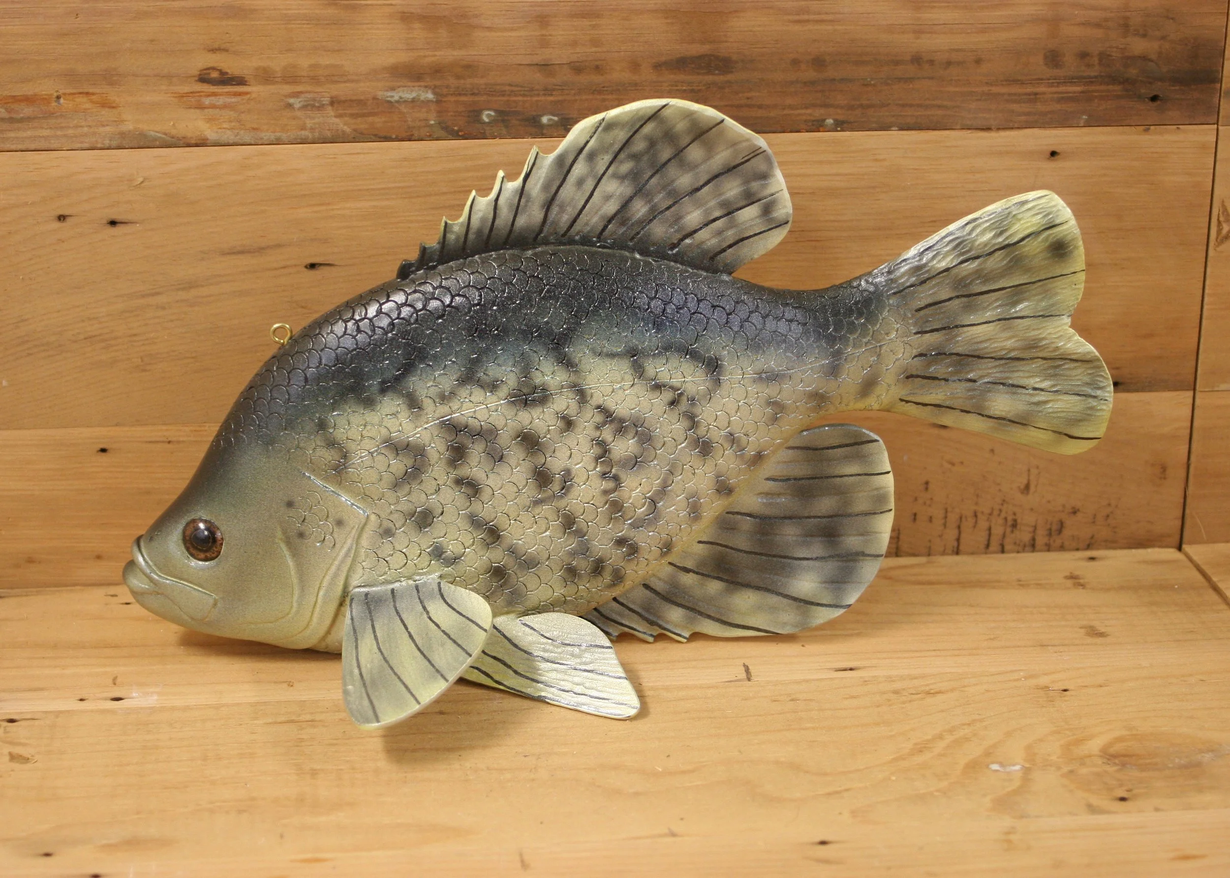 13" Airbrush Black Crappie by Matt Brown