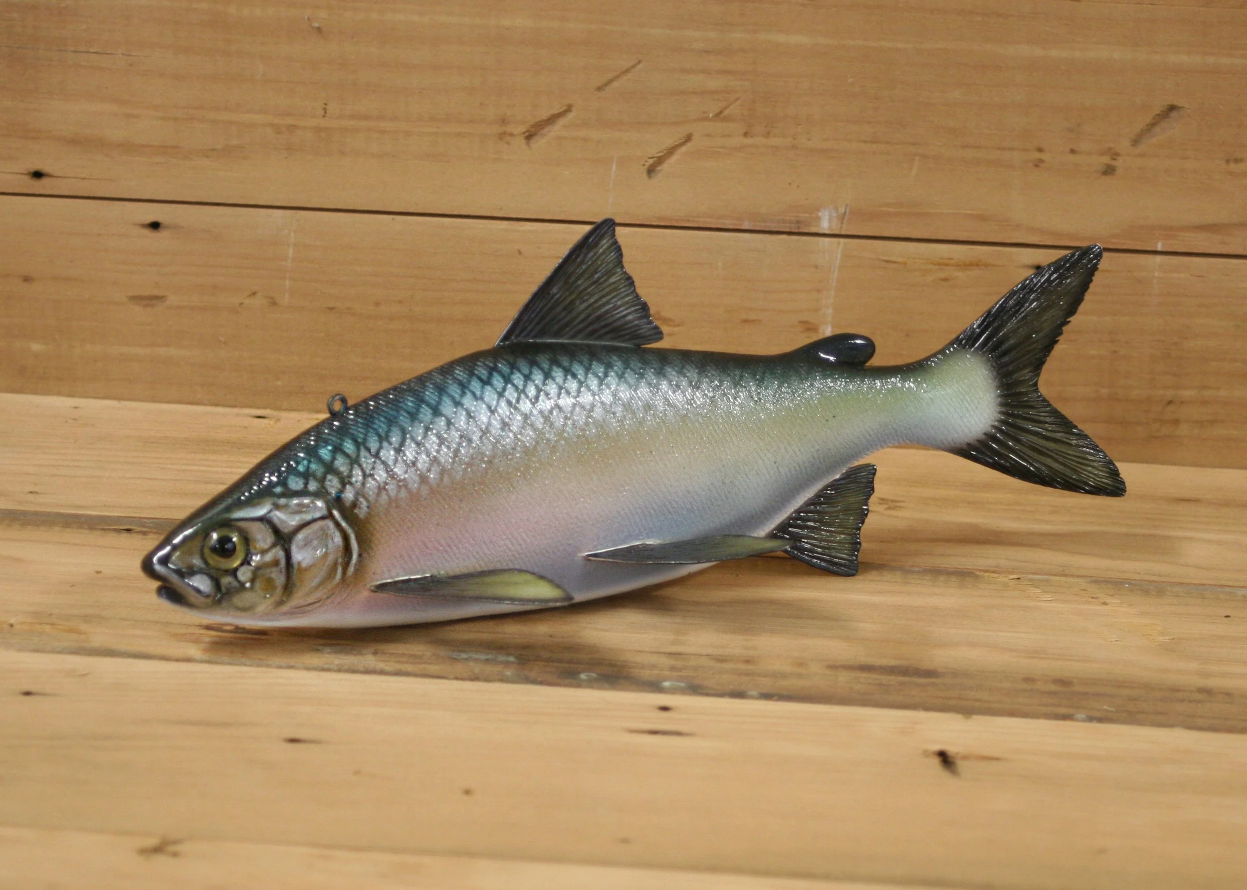 11" Whitefish by Harley Ragan