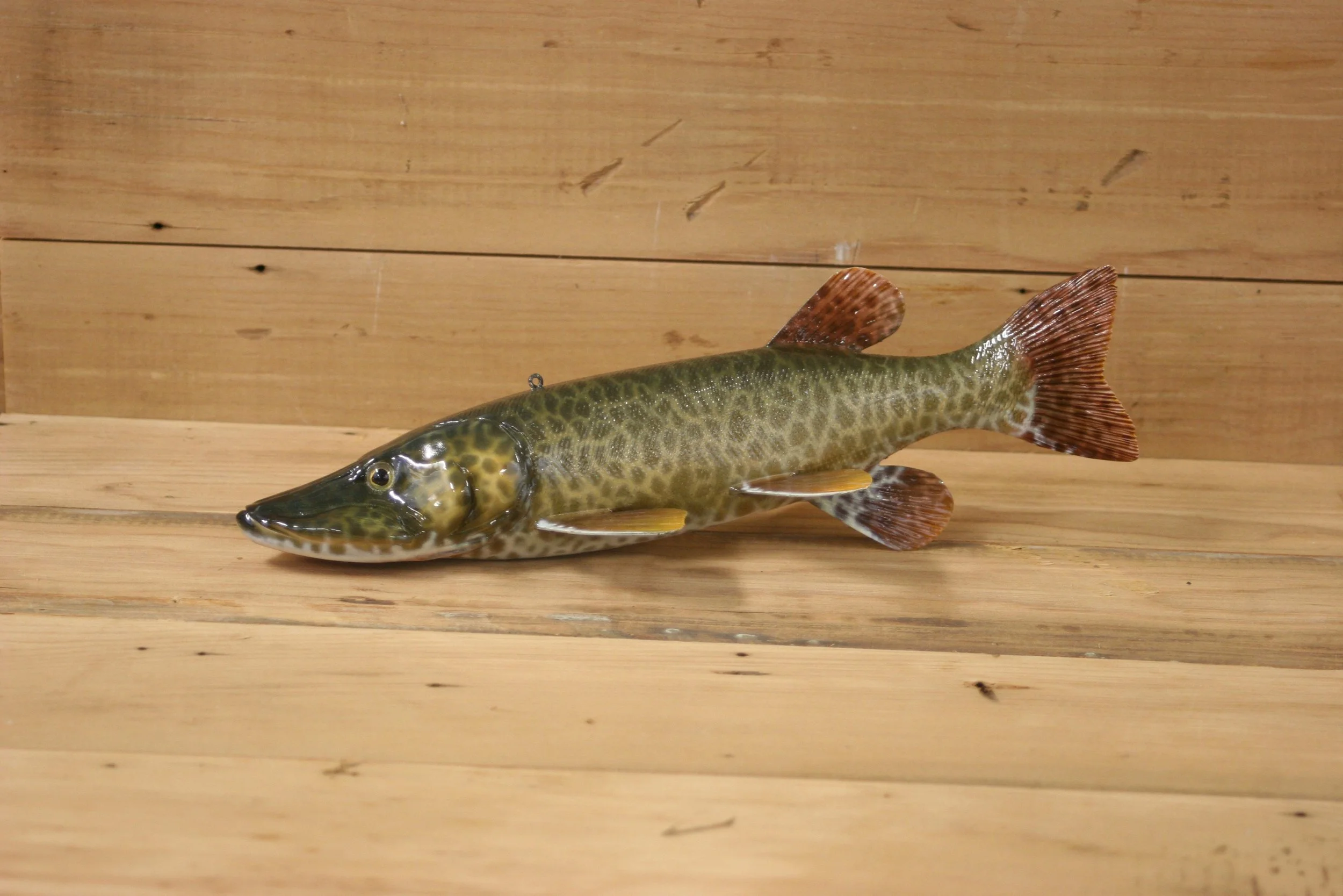 11" Spotted Muskie by Harley Ragan