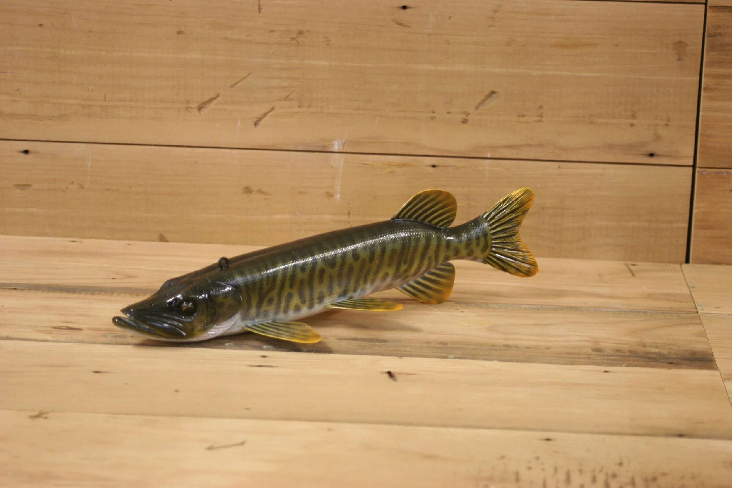 3rd place: 10" Tiger Muskie by Tony Sazama