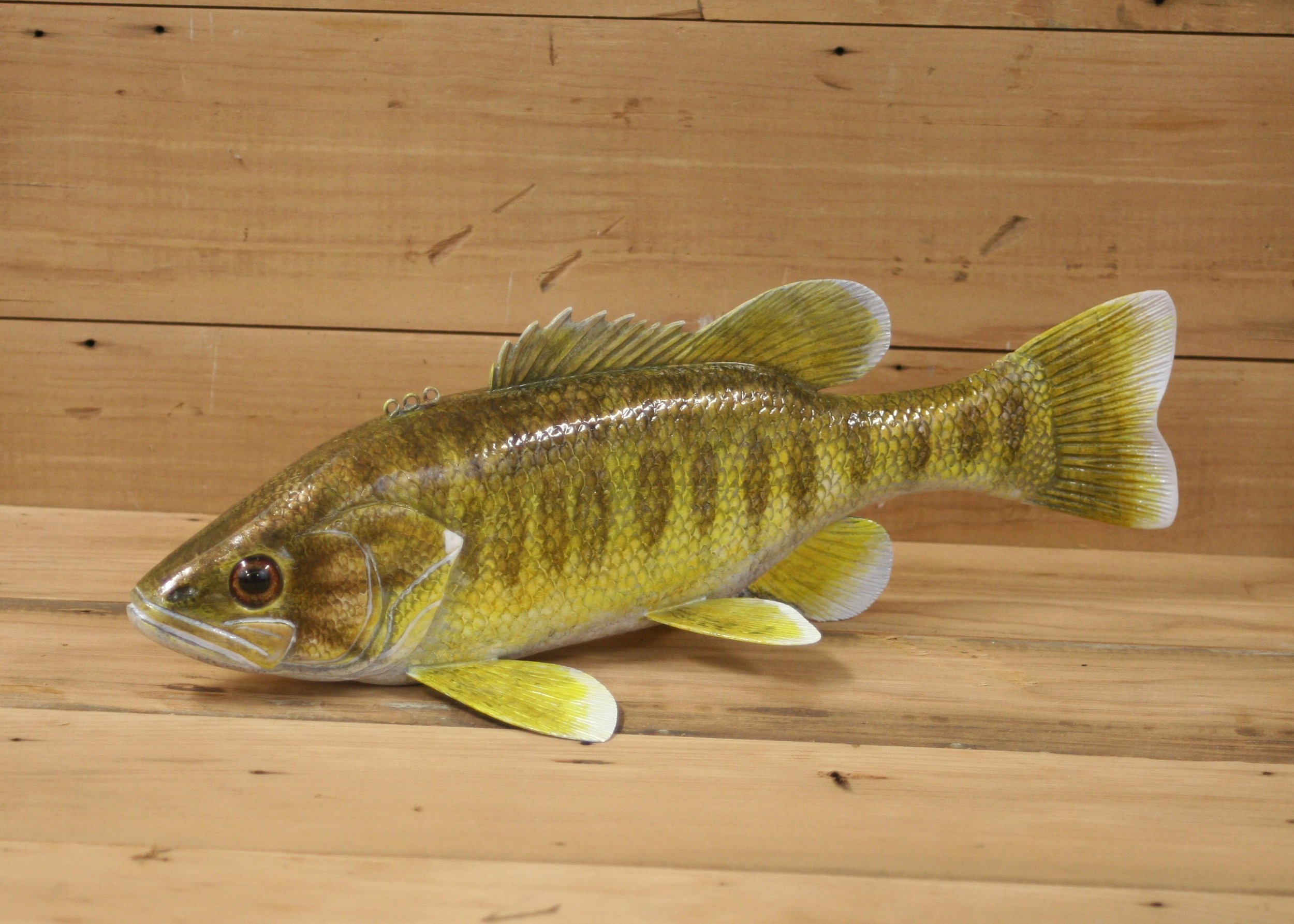 13" Hand Painted Guadalupe Bass by Gary Hull