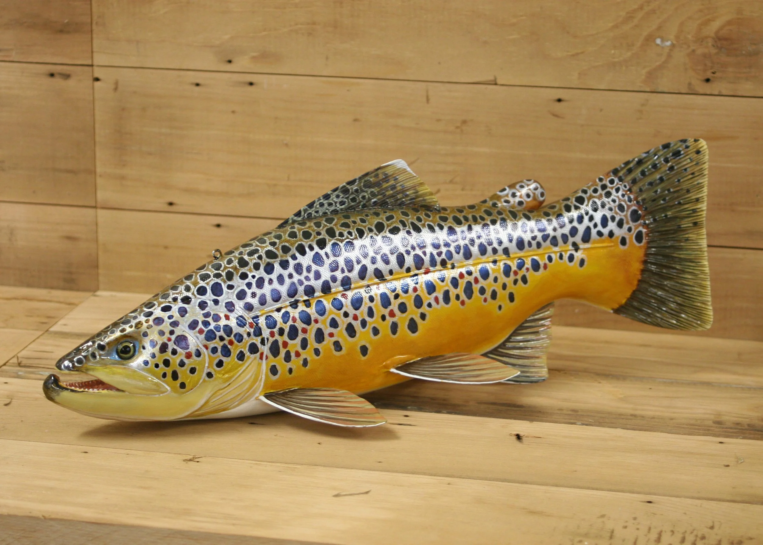 16" Hand Painted Brown Trout by Harley Ragan