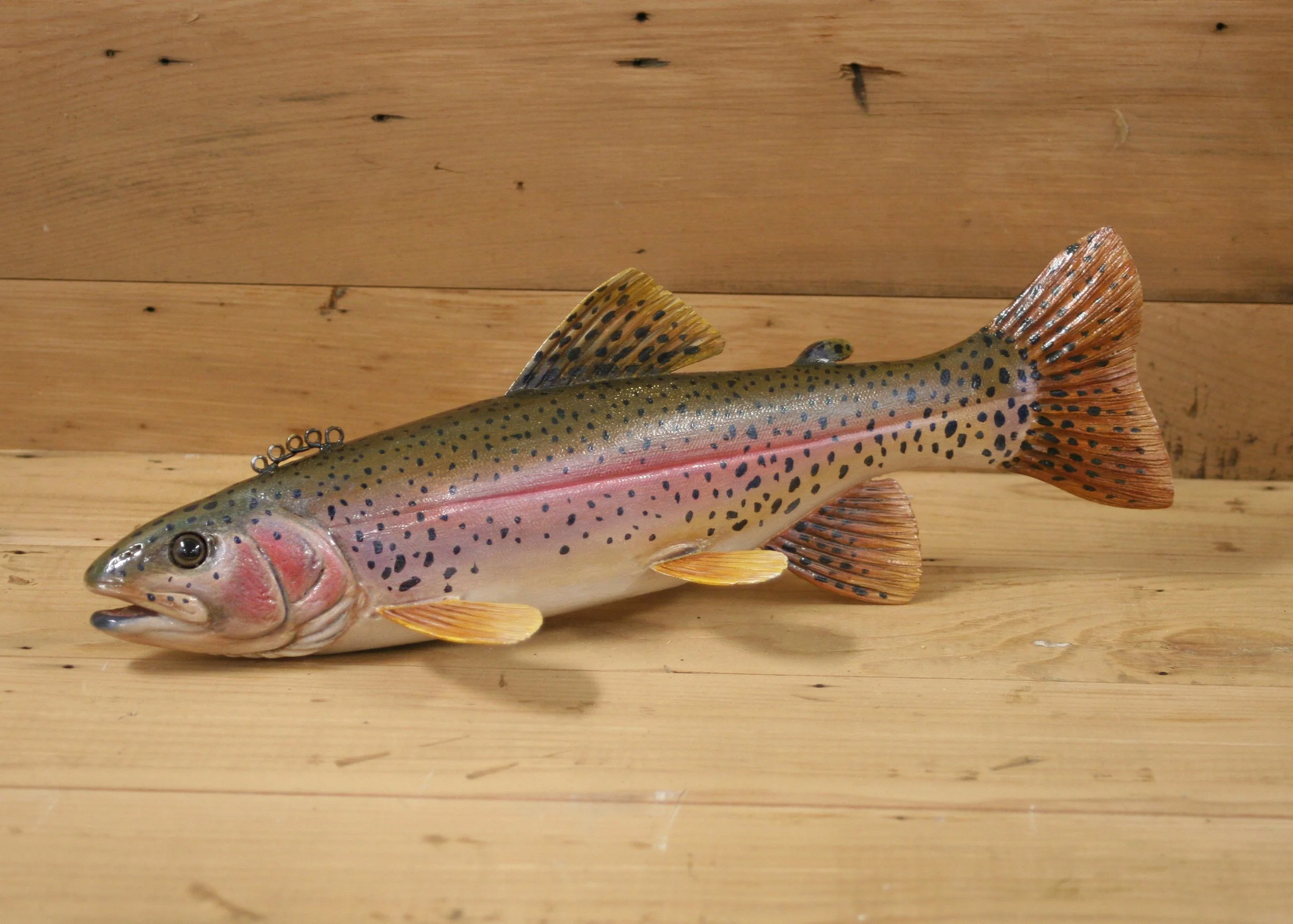 13" Hand Painted Rainbow Trout by Bob Johnson