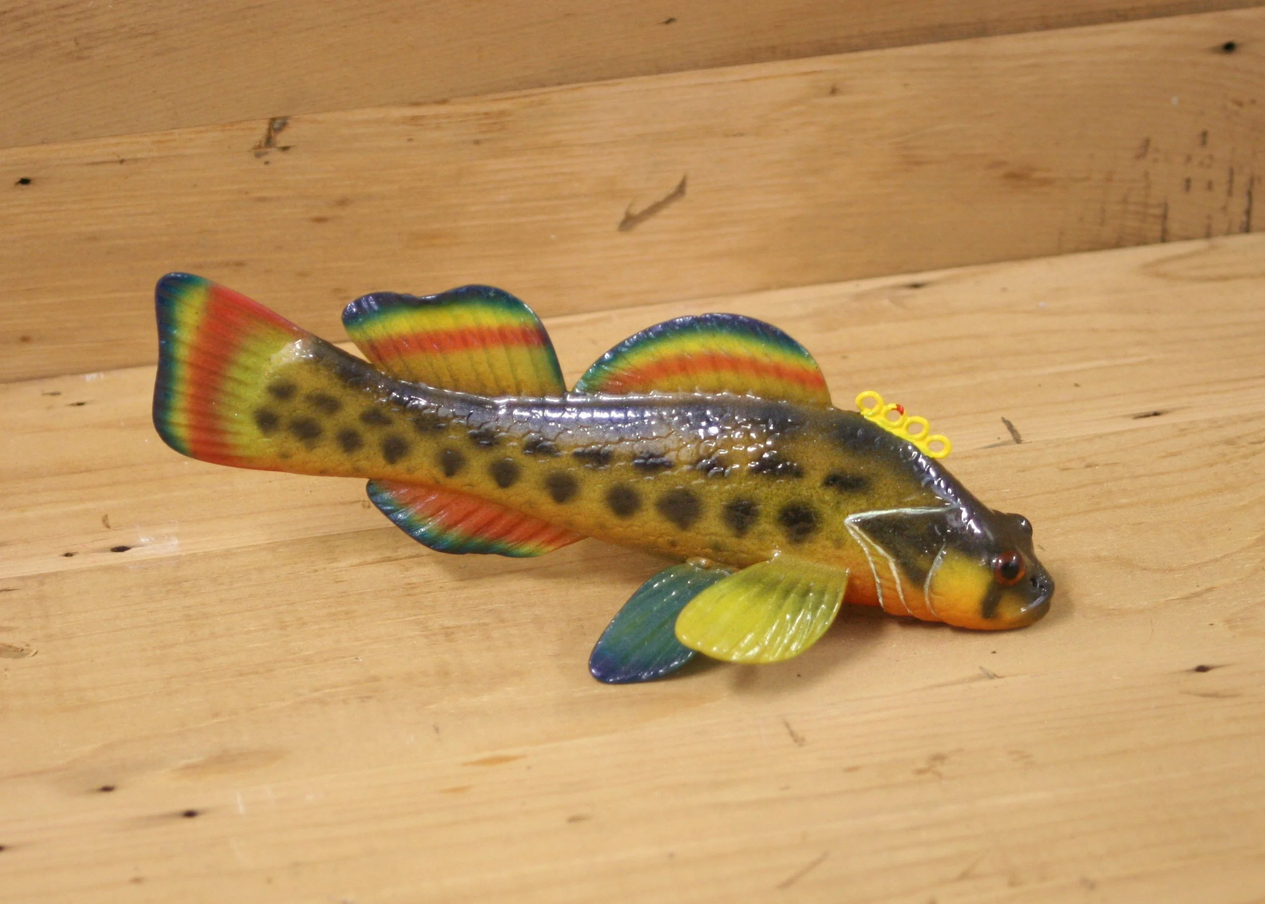 8" Airbrush Orange Belly Darter by Paul McNeal