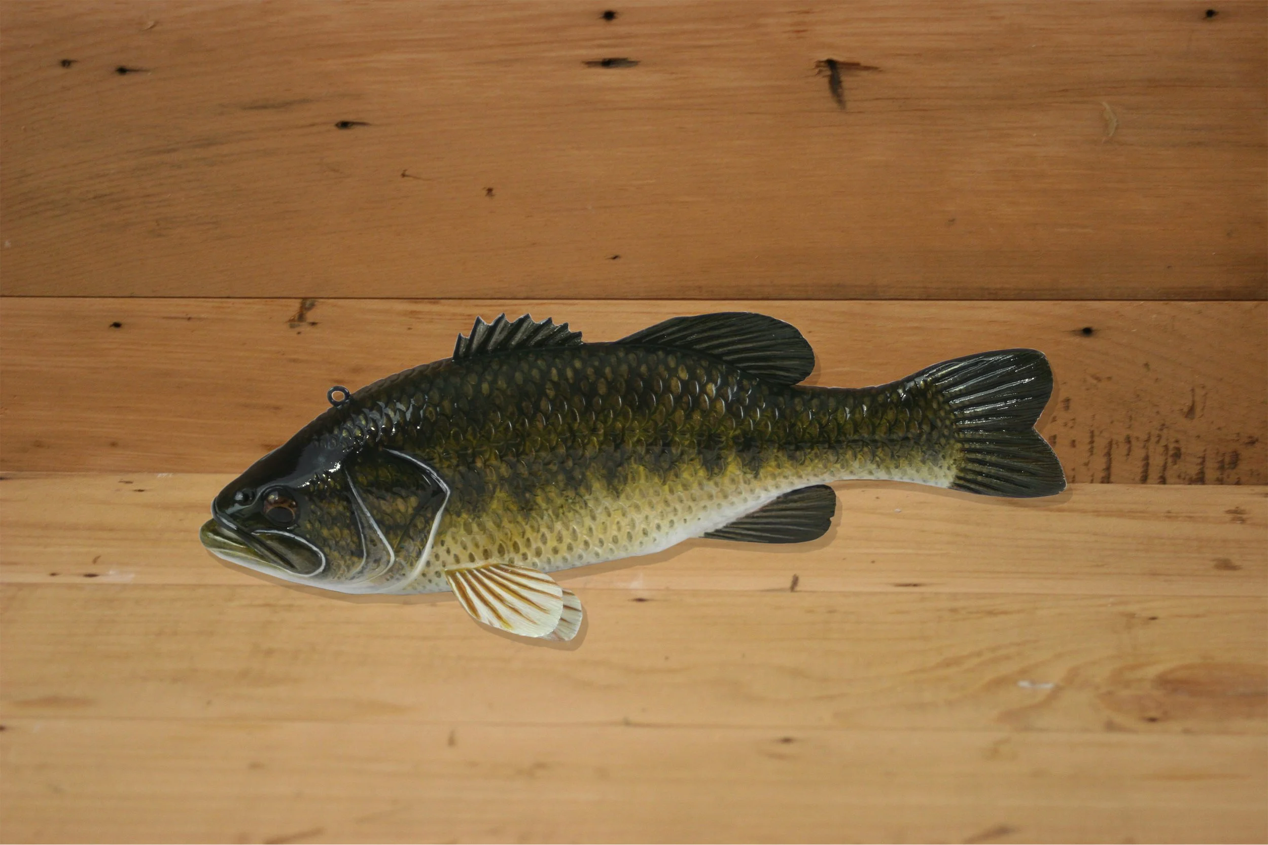 9" Hand Painted Largemouth Bass by Jacob Sazama