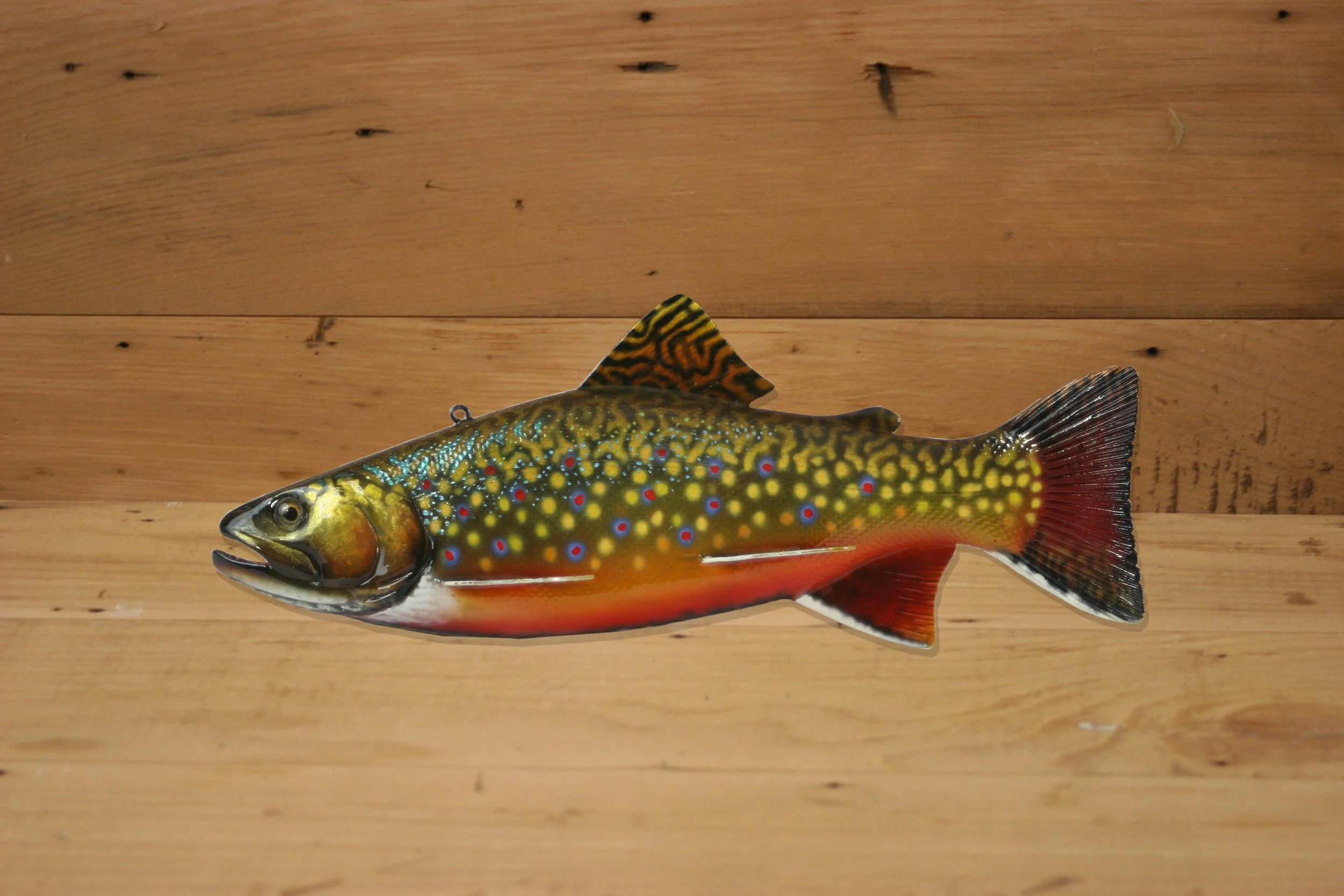 9" Brook Trout by Harley Ragan