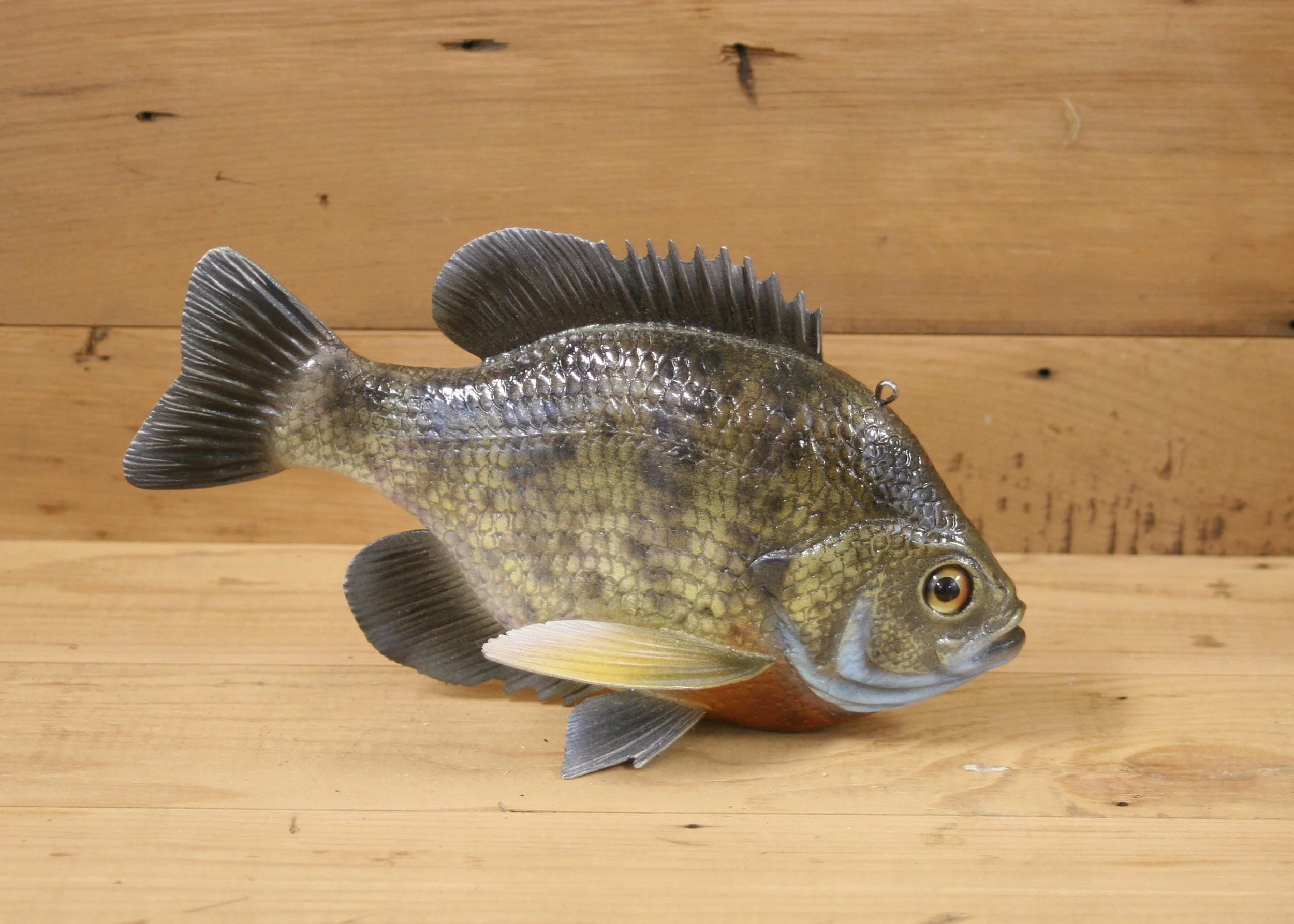8" Airbrush Blue Gill by Bob Johnson