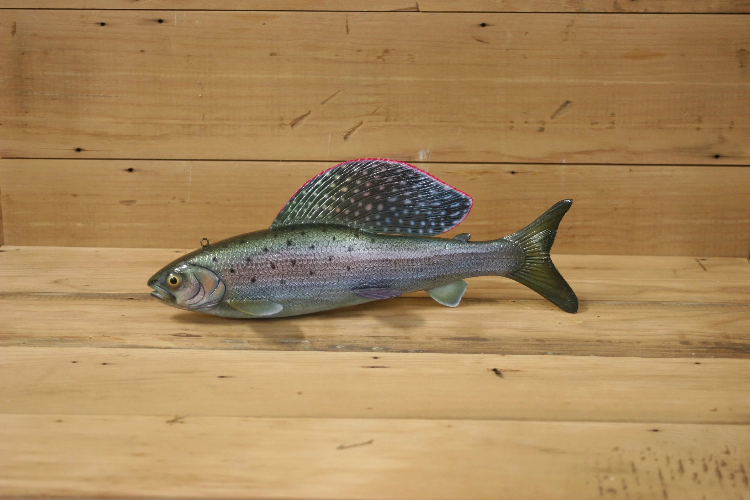 10" Airbrush Grayling by Troy Helget