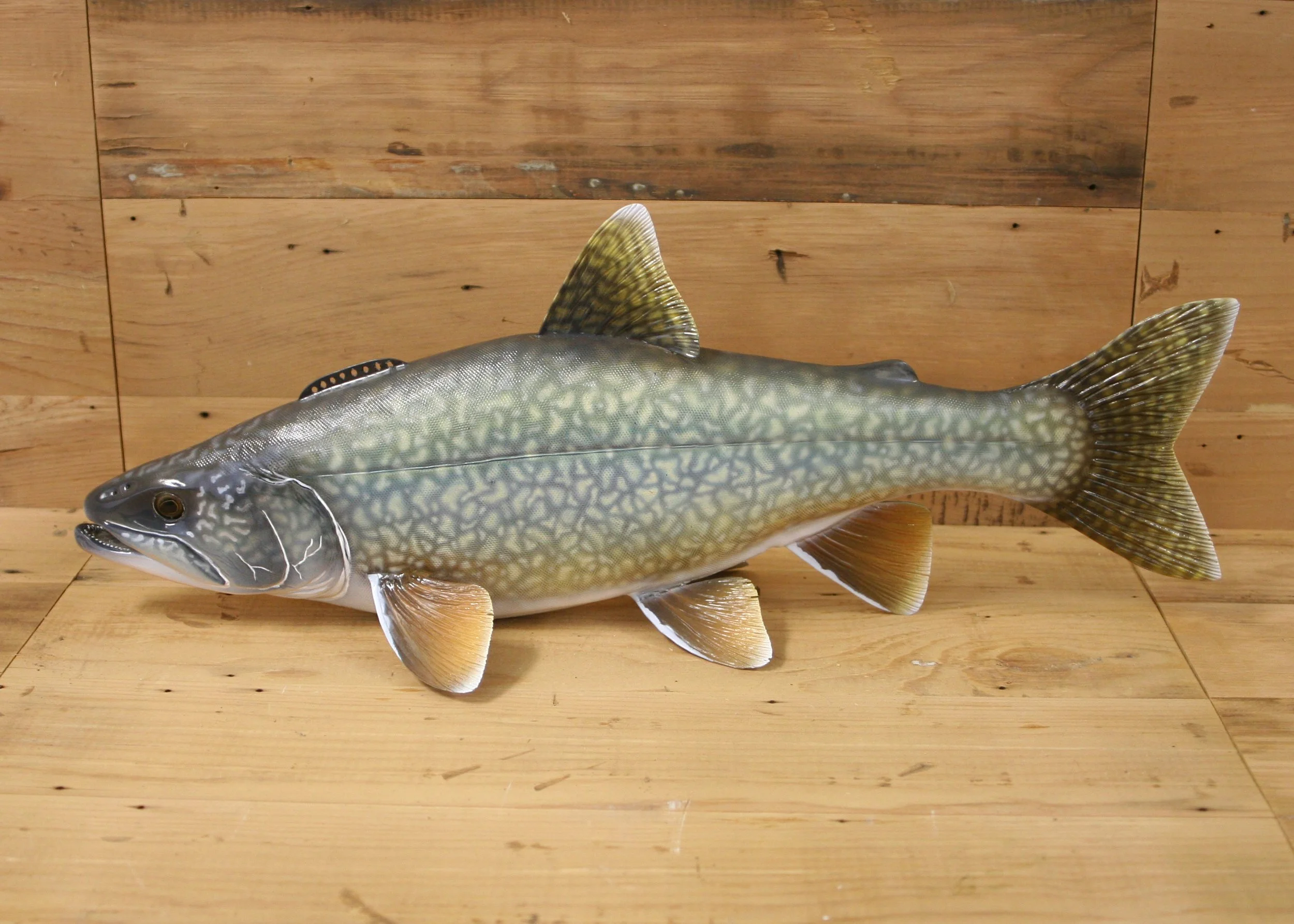 20" Airbrush Lake Trout by Harley Ragan
