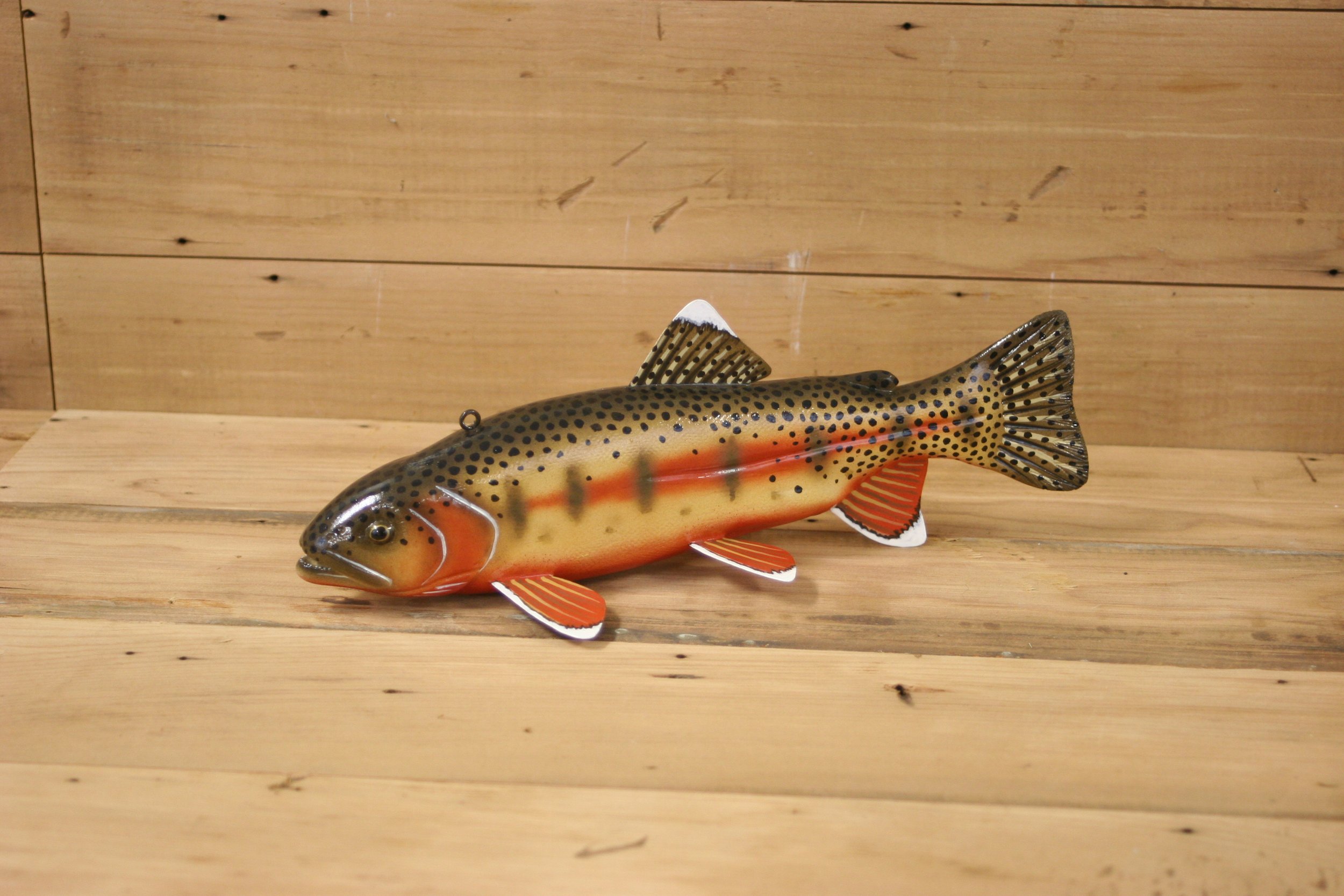 11" Golden Trout Jr. Division by Tony Sazama