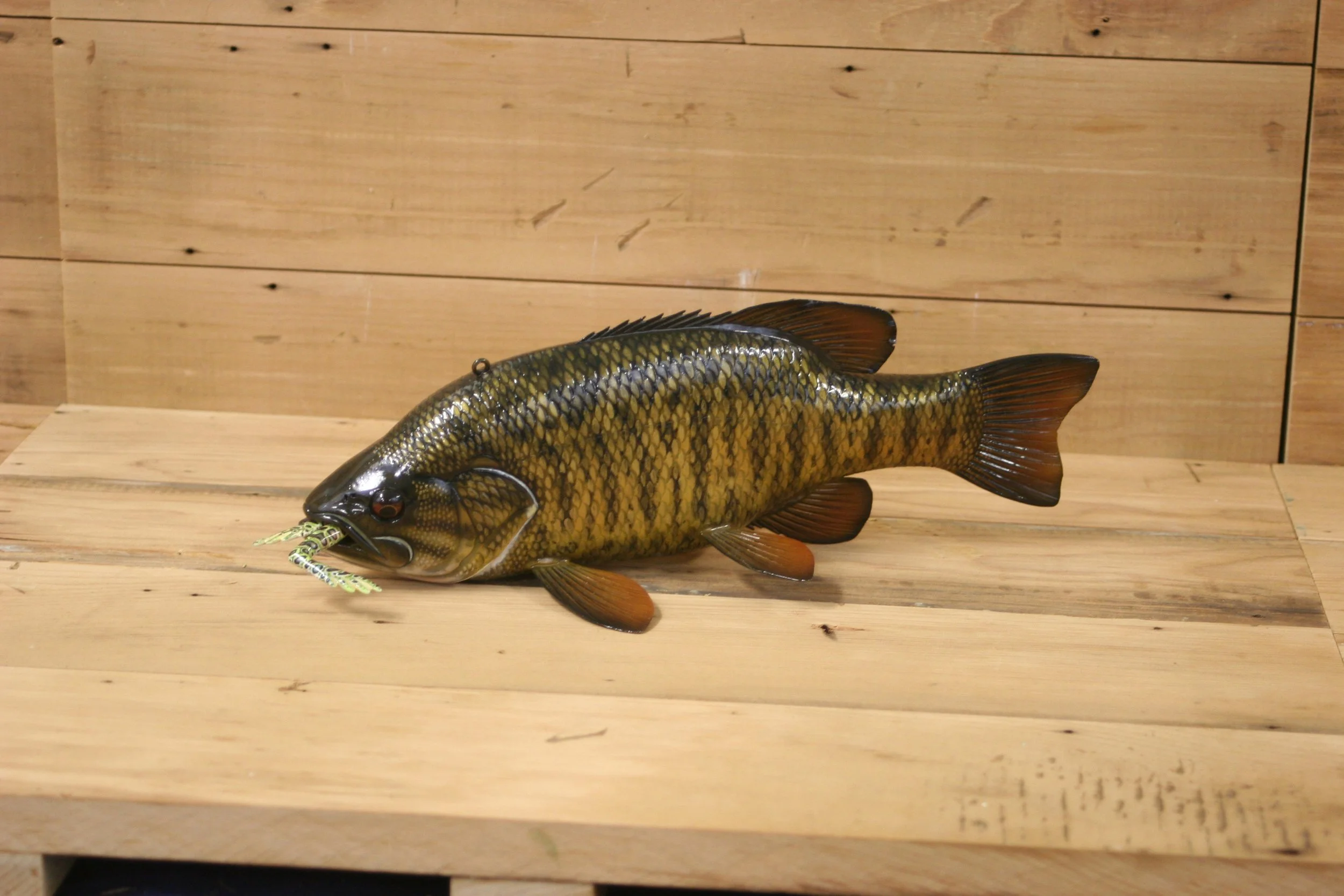North American World Cup of Fish Decoys 1st place: 11" Smallmouth Bass by Jacob Sazama