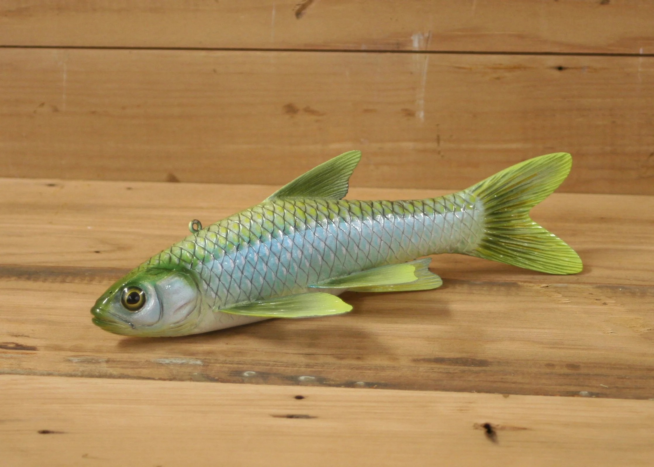8" Lake Shiner by Harley Ragan