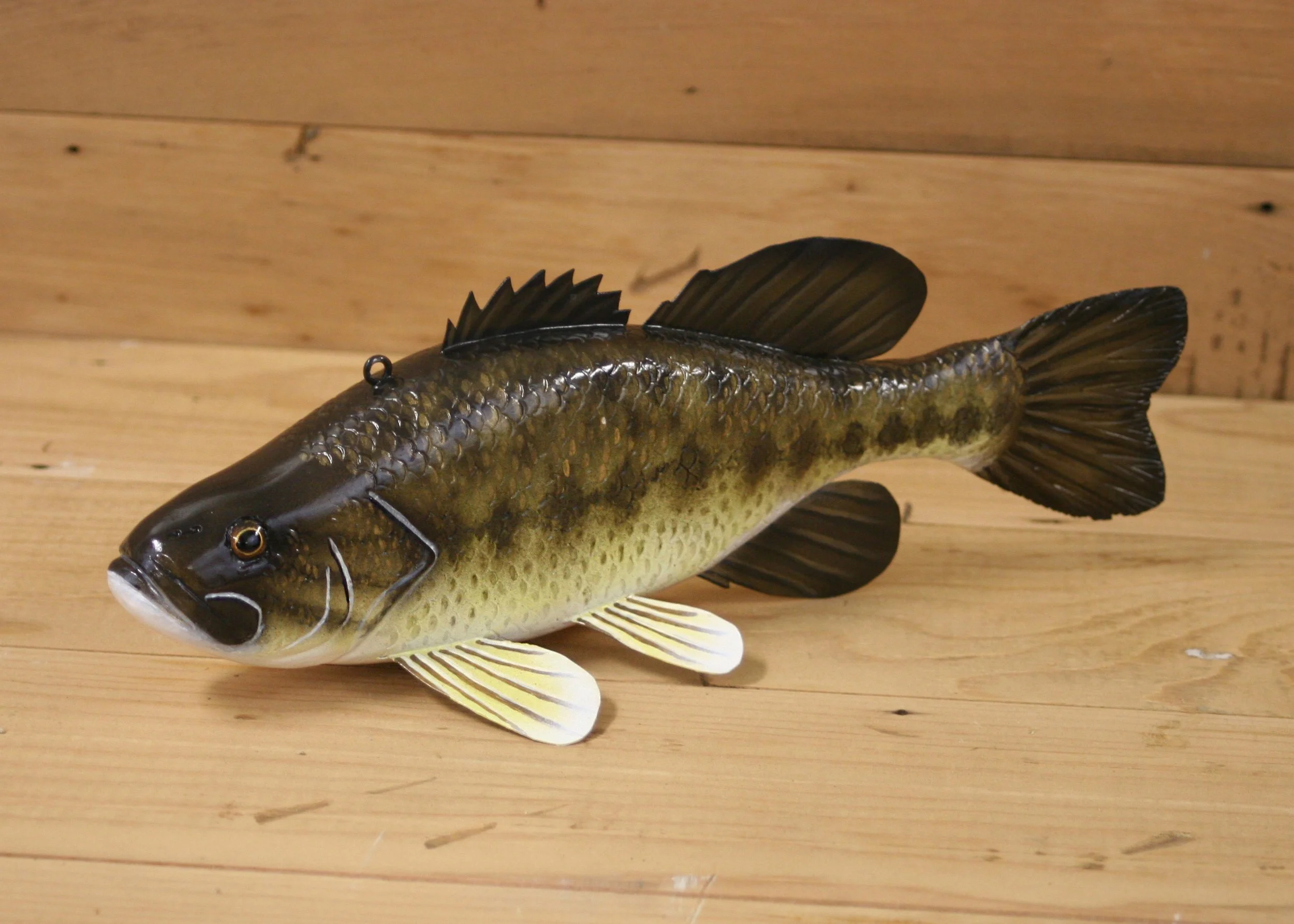 10" Largemouth Bass Jr. Division by Kimberly Harlow