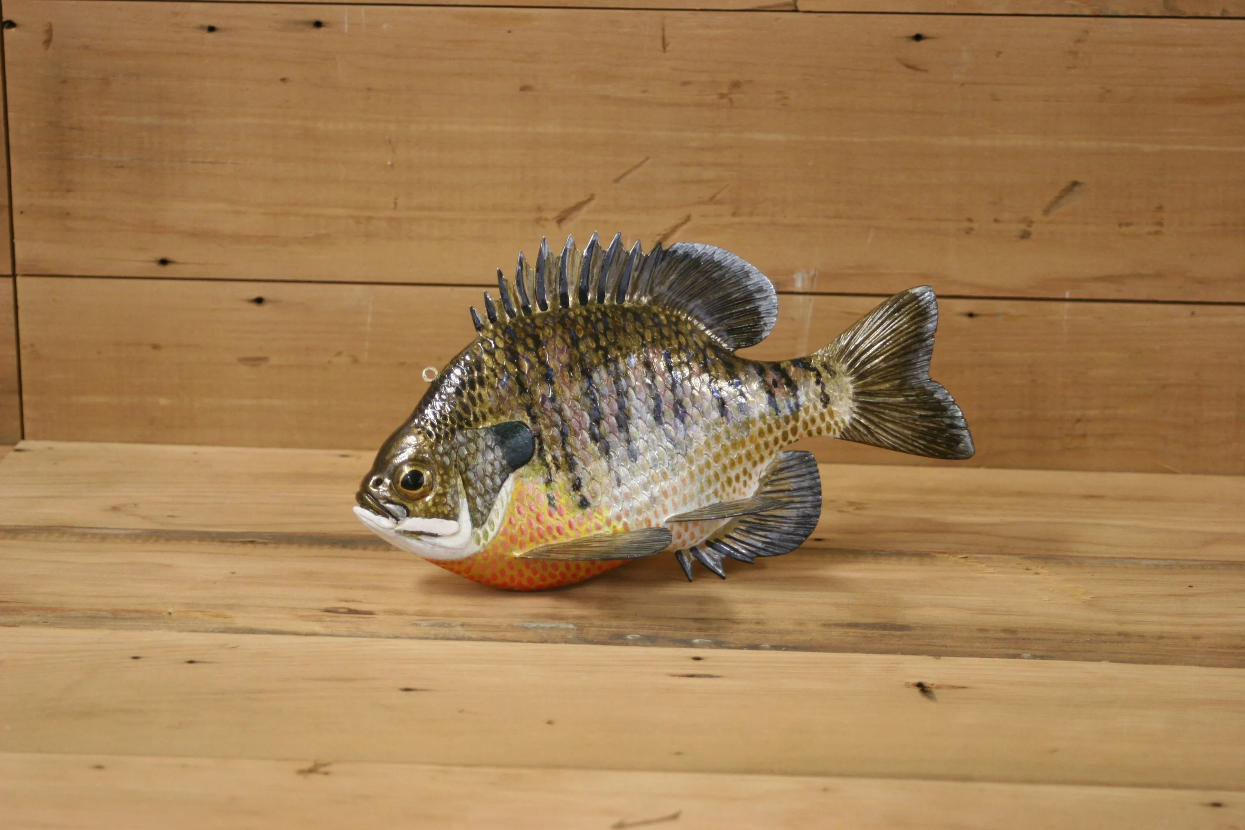 4th Place: 8" Hand Painted Bluegill by Jared Sypnieski