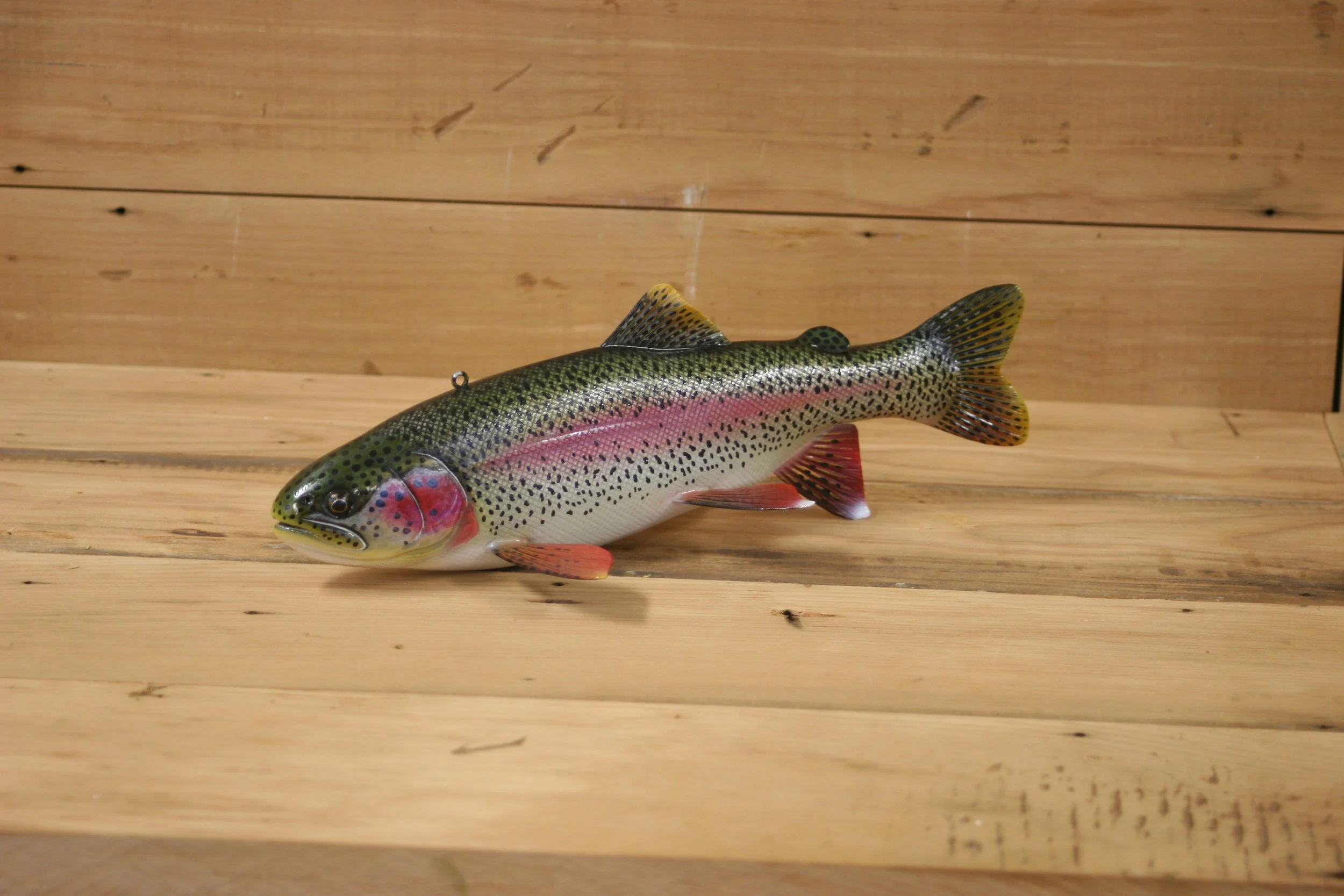 1st place: 10" Rainbow Trout by Jacob Sazama