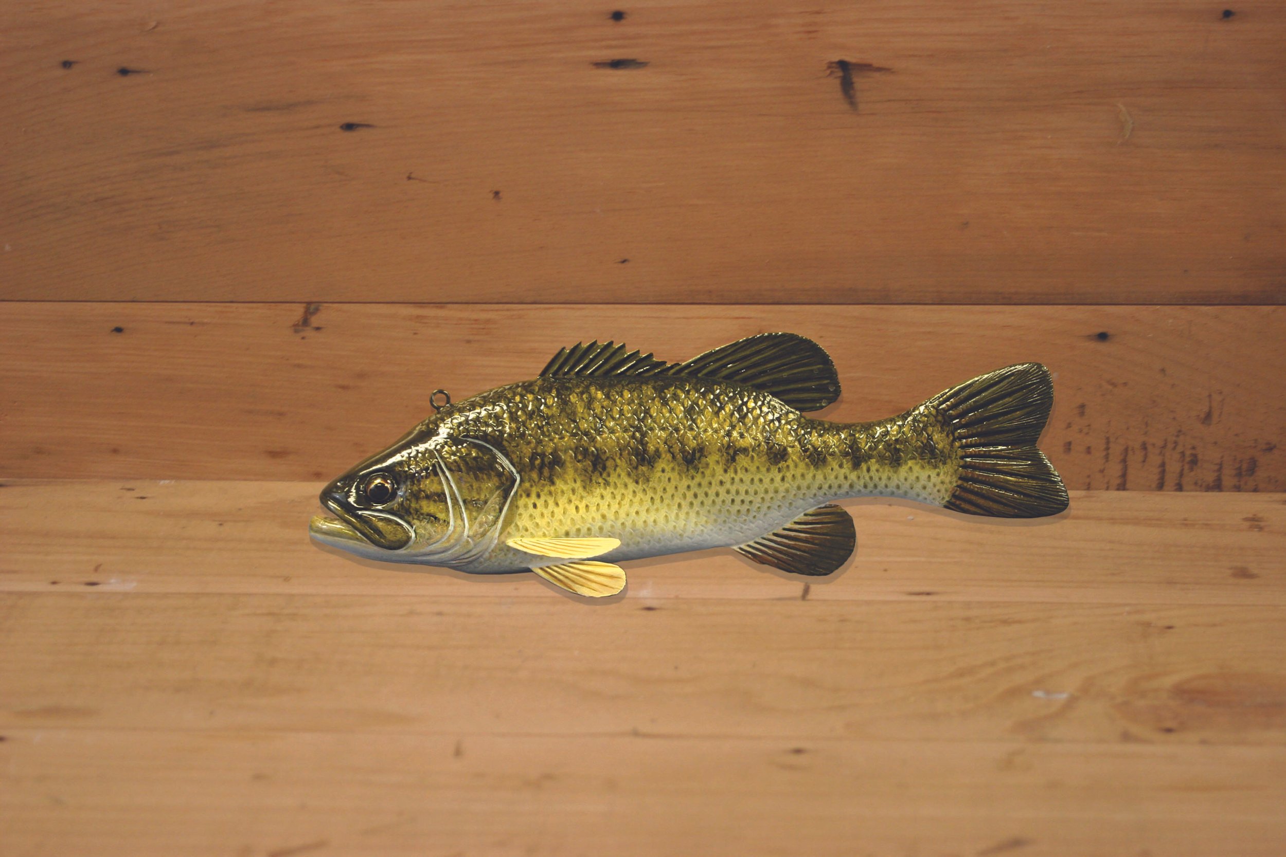 10" Hand Painted Largemouth Bass by Jacob Sazama