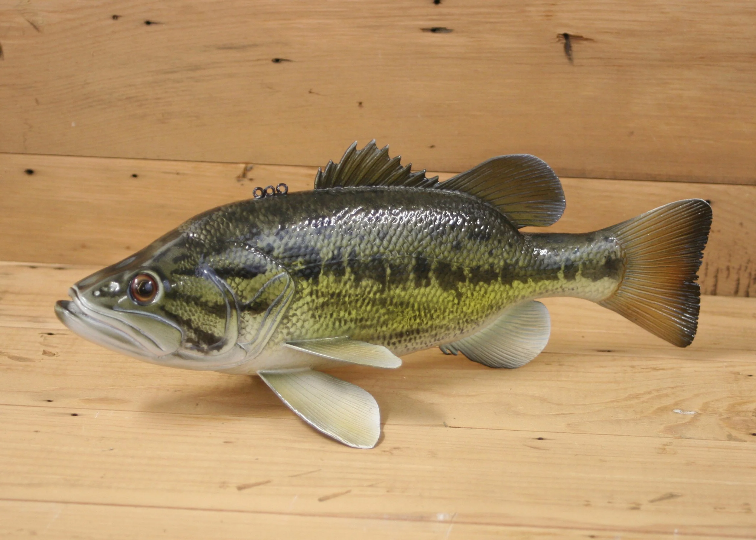 12" Airbrush Largemouth Bass by Gary Hull