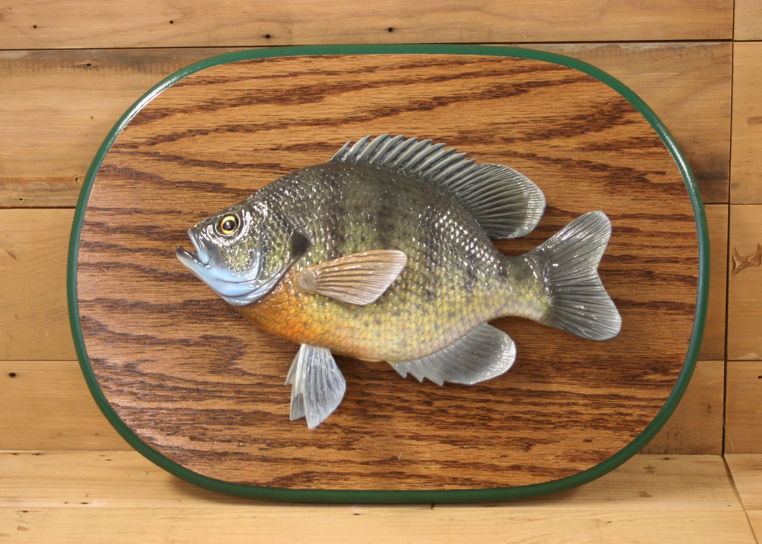 10" Sunfish Plaque by Bob Johnson