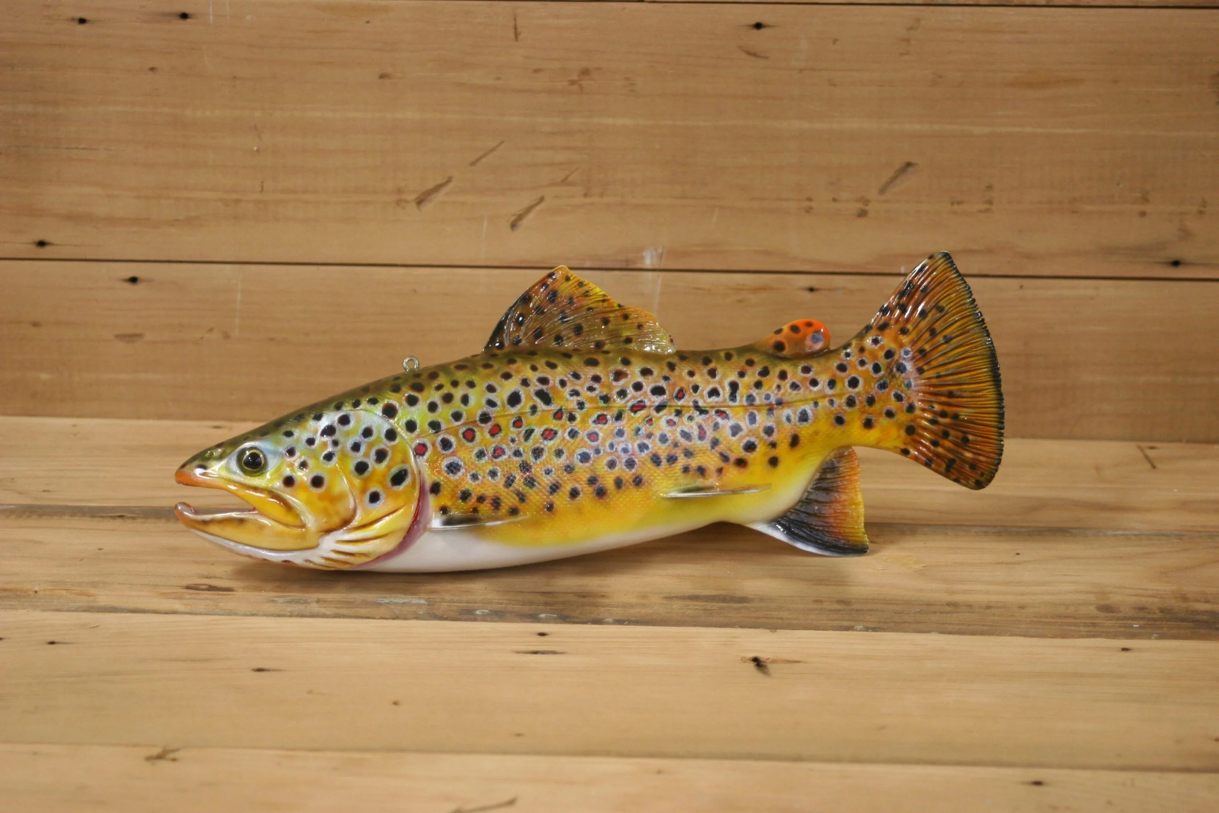 North American World Cup of Fish Decoys 1st Place: 11" Brown Trout by Harley Ragan
