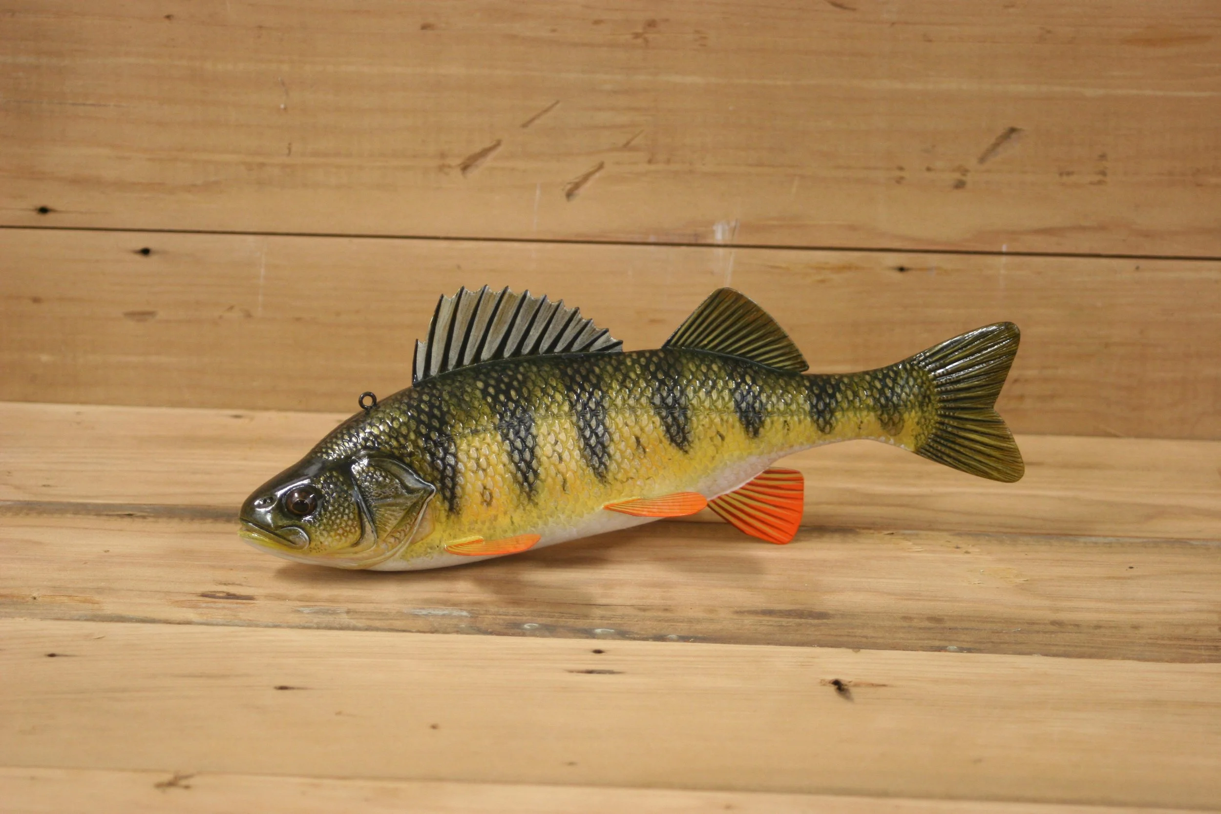 2nd Place: 10"  Hand Painted Yellow Perch by Jacob Sazama
