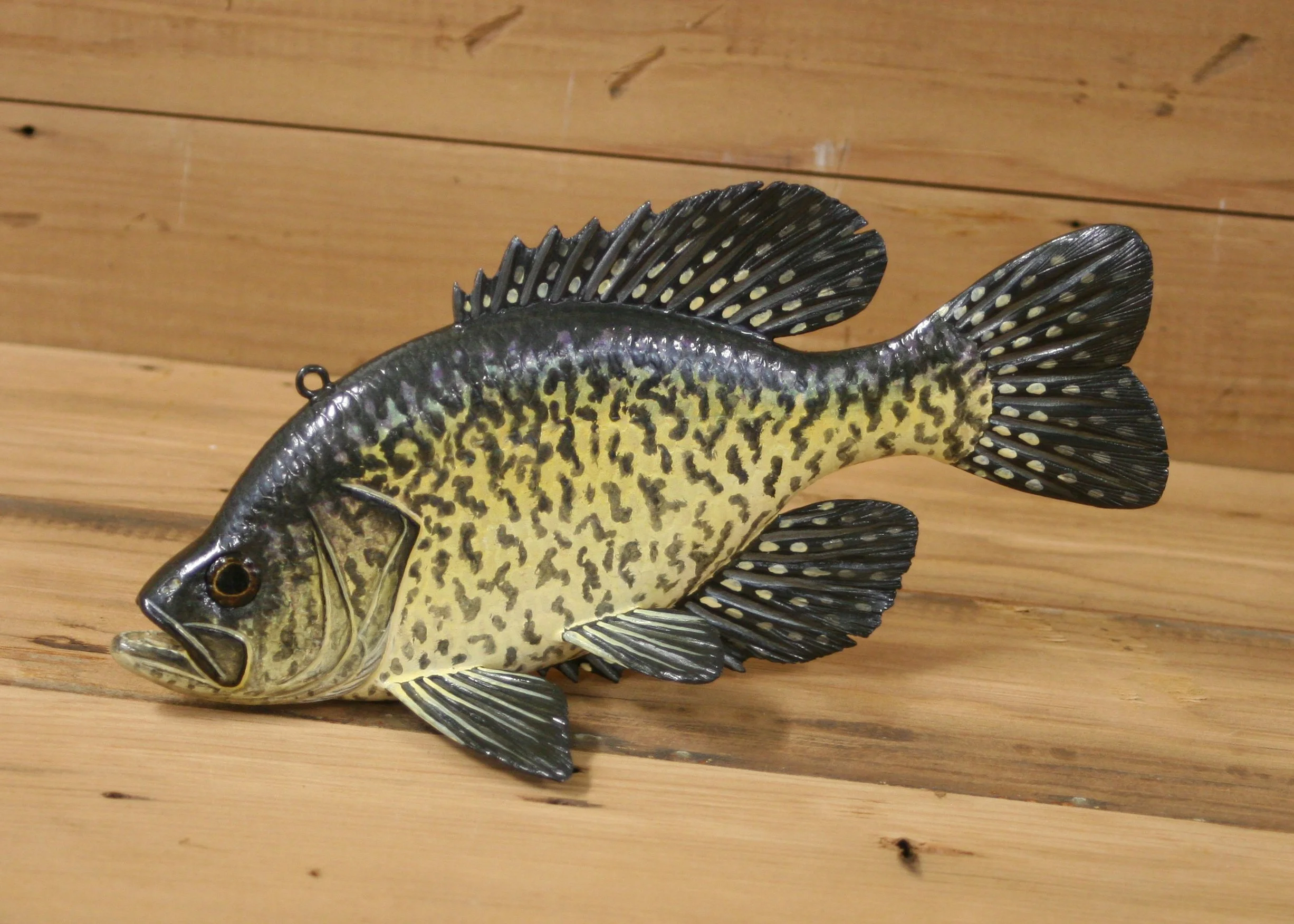 9" Hand Painted Crappie by Jacob Sazama