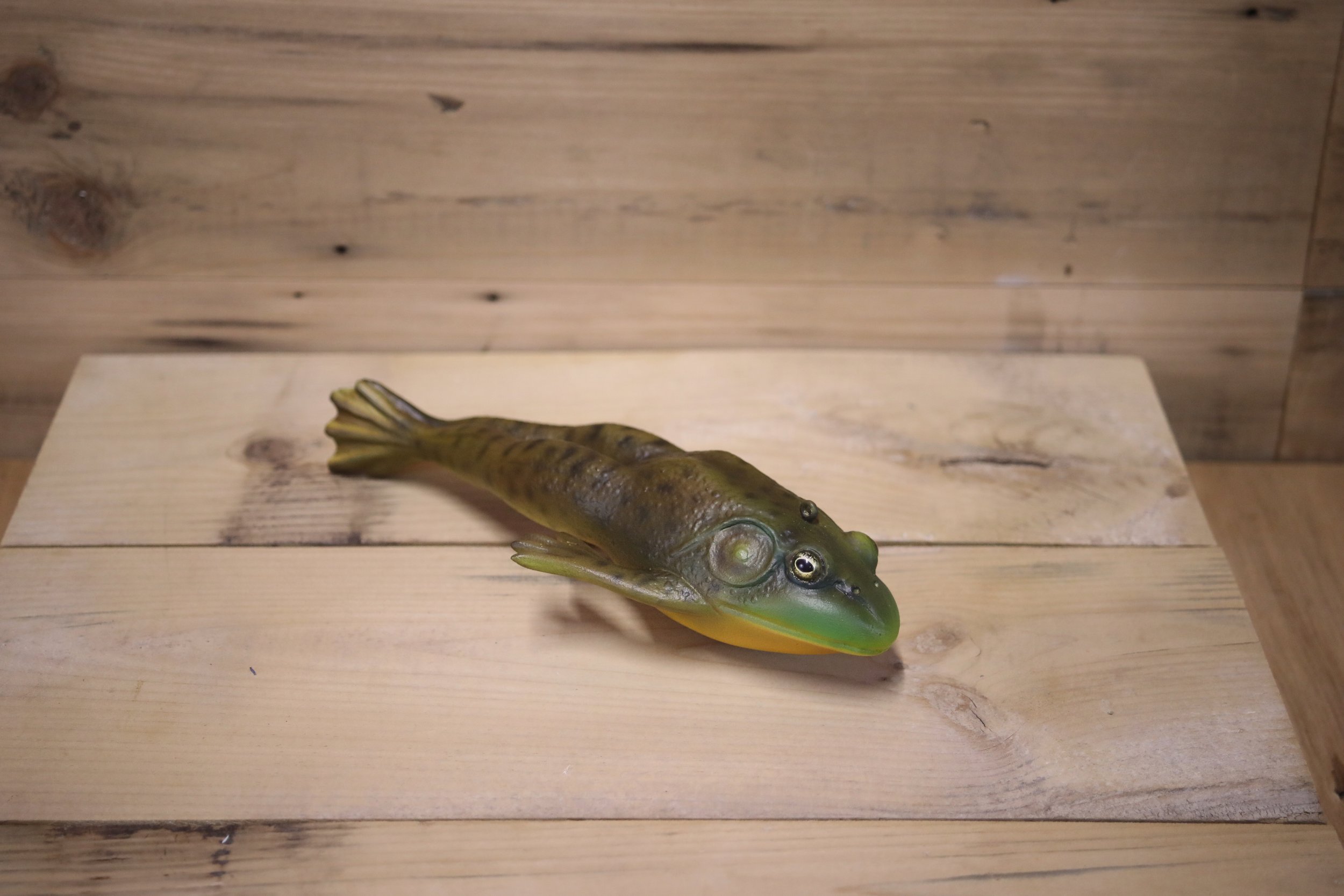 8" Frog by Kerry Wolgast