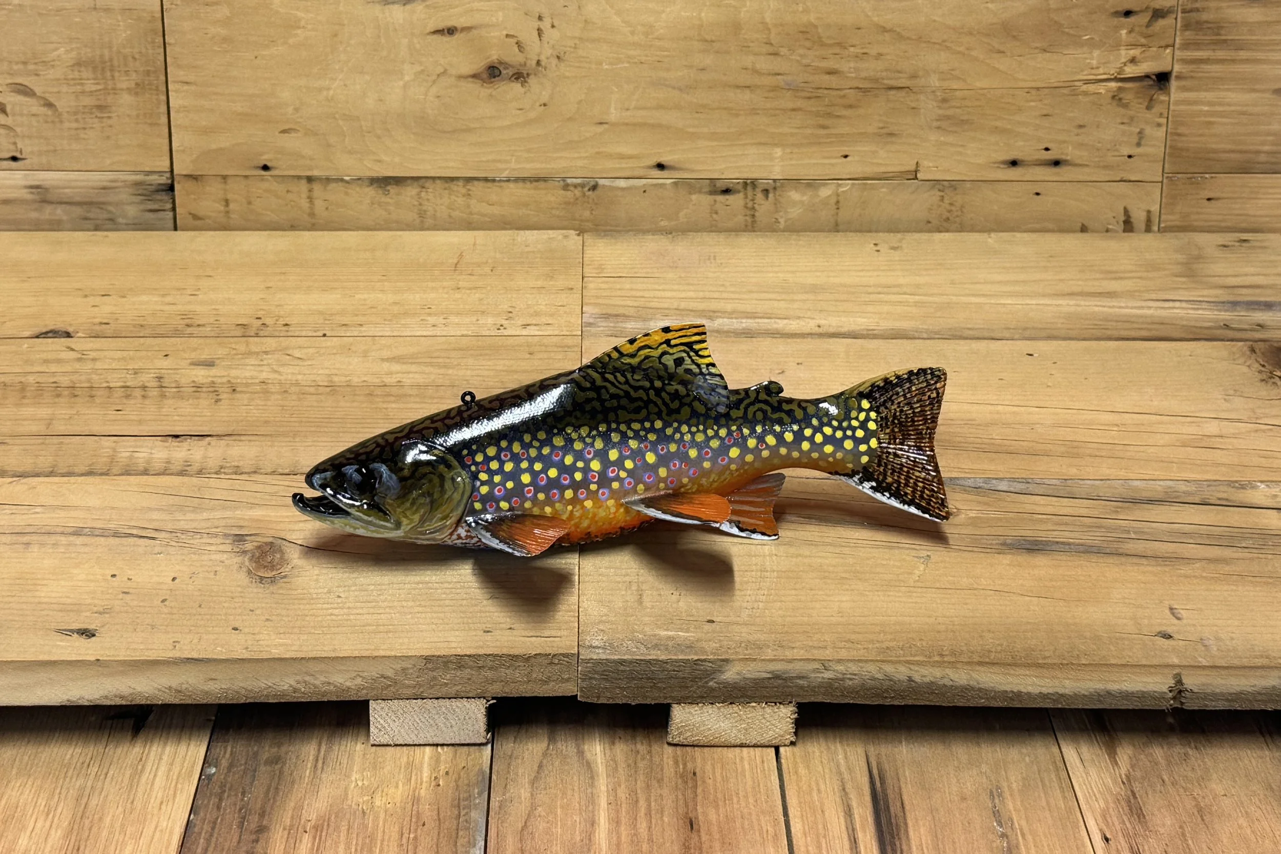 10 Brook Trout by Harley Ragan