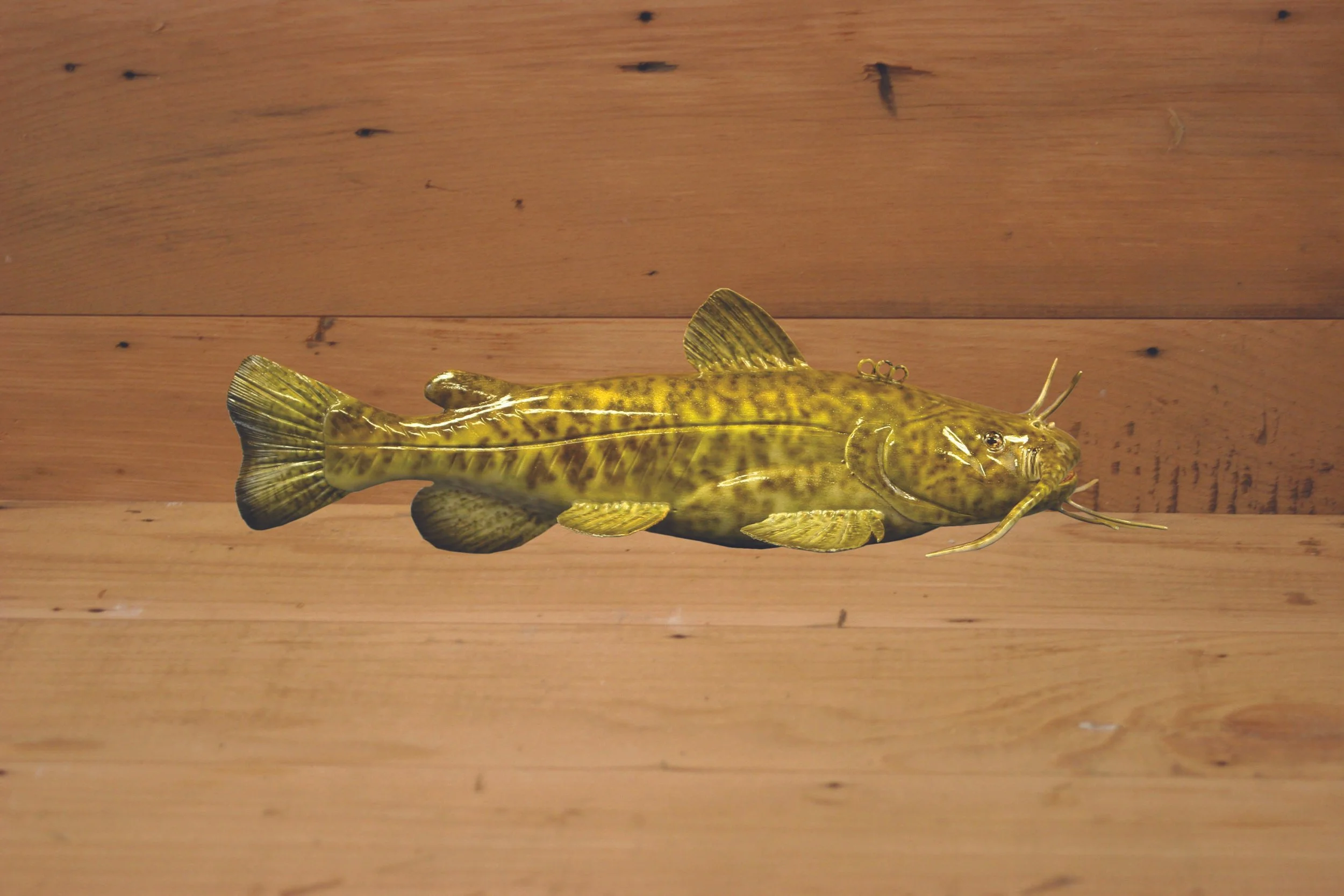 9" Catfish by Troy Helget