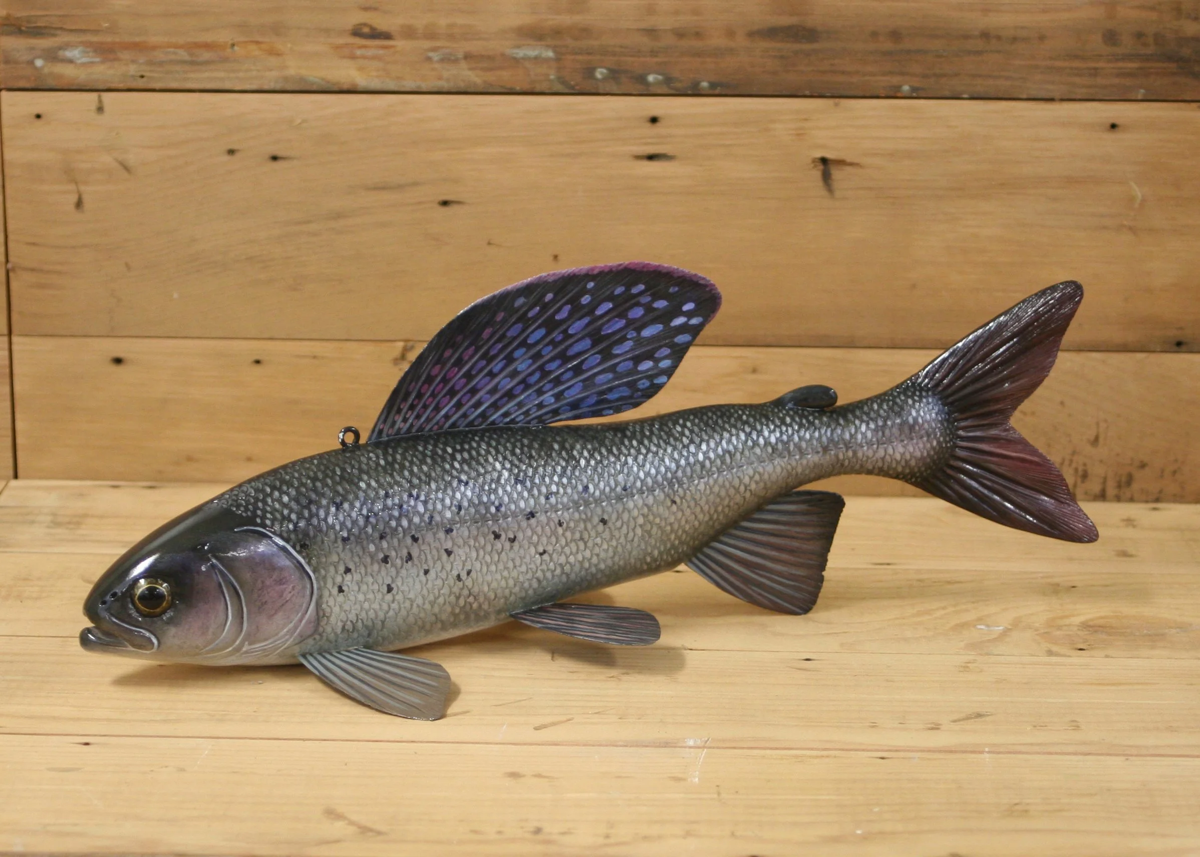 15" Hand Painted Grayling by Jacob Sazama