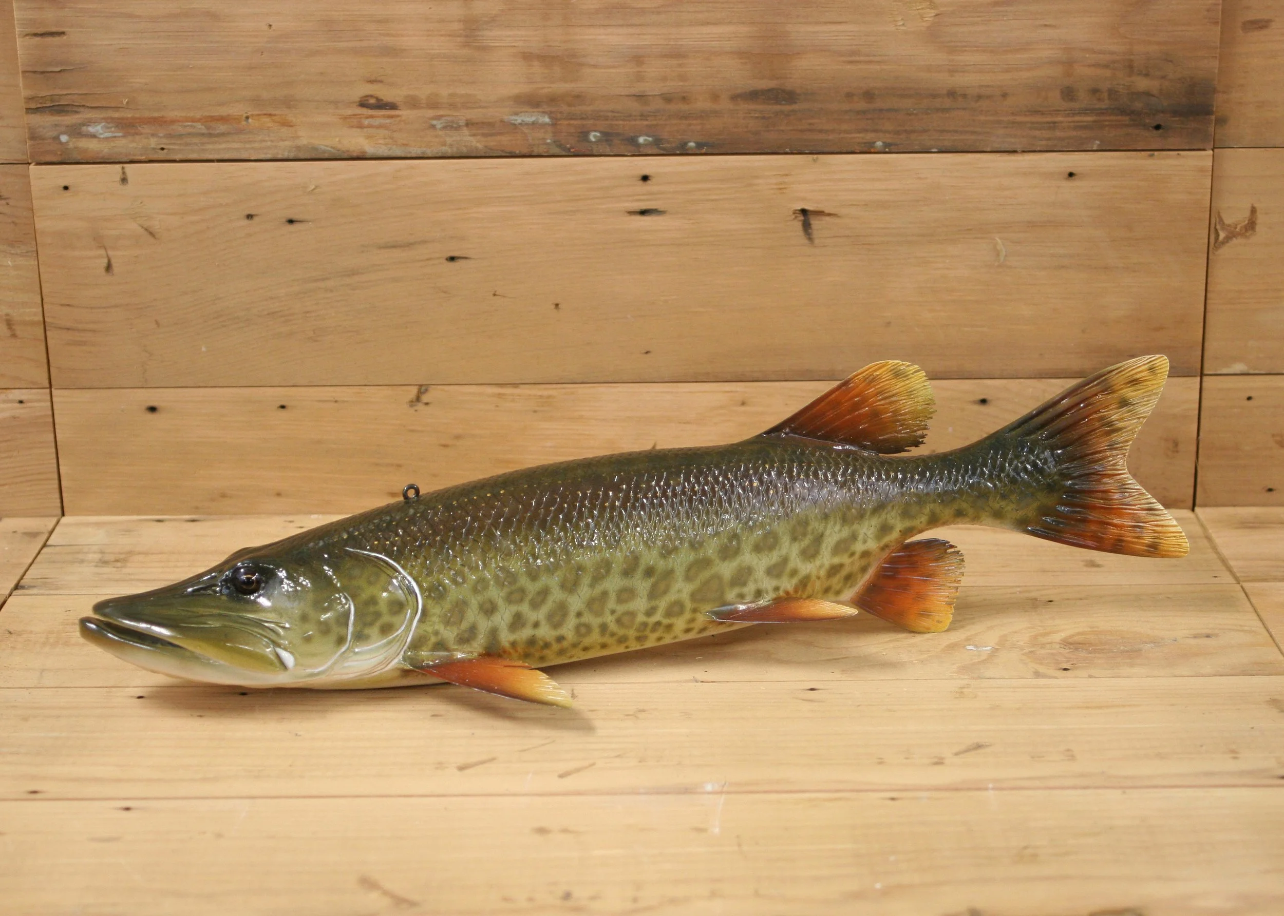 17" Airbrush Spotted Muskie by Harley Ragan