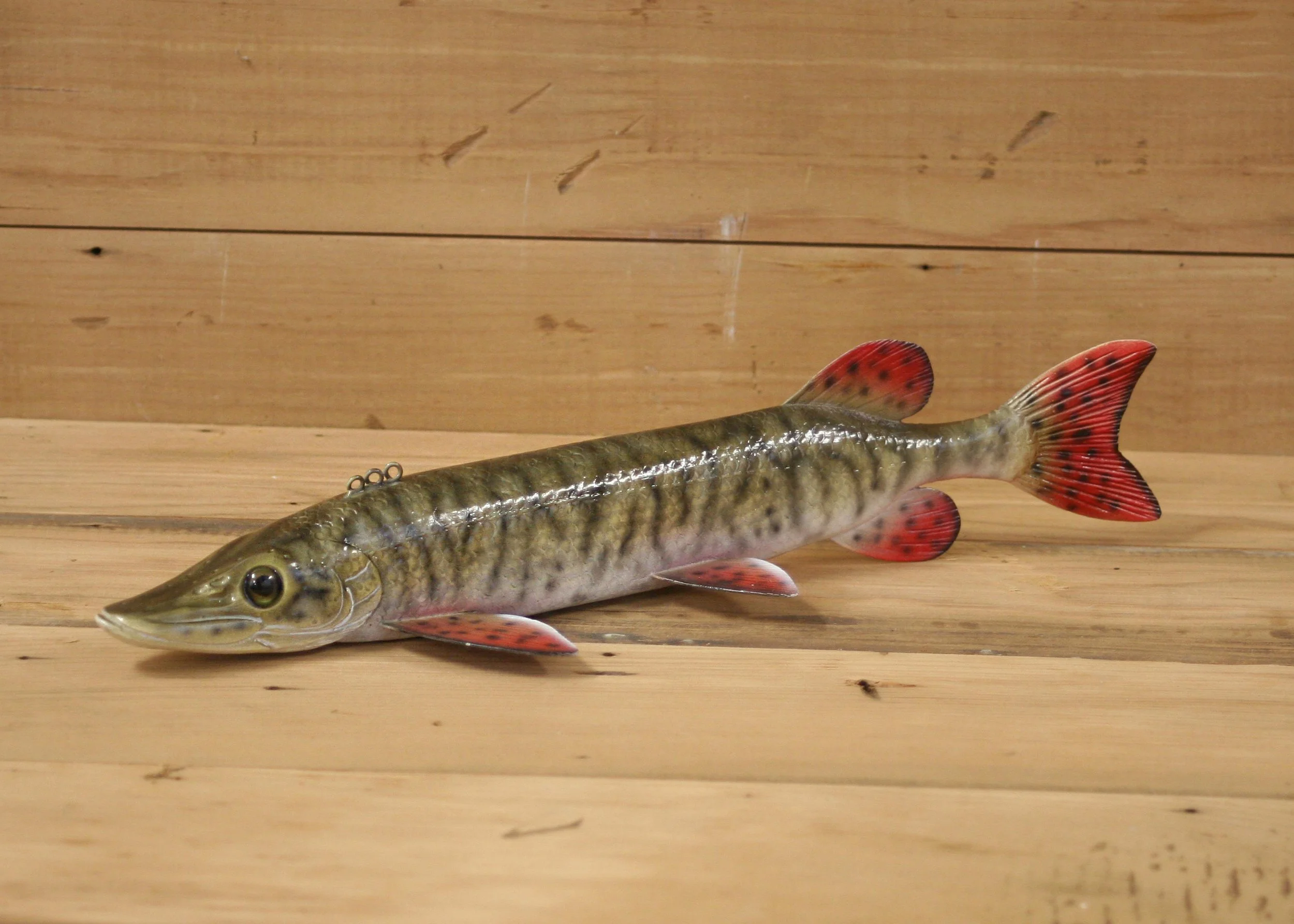 12" Airbrush Tiger Muskie by Gary Hull