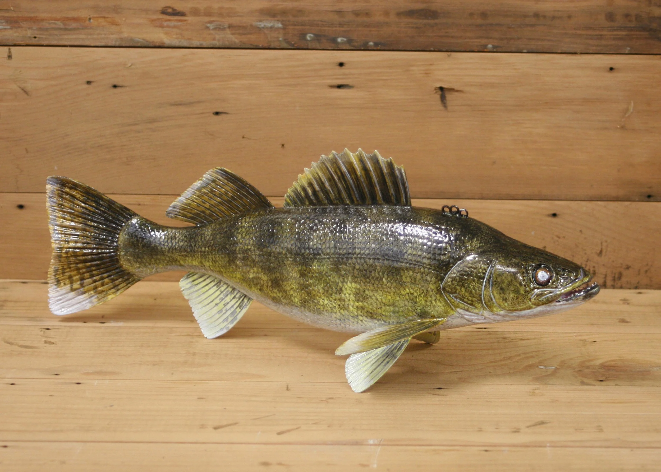 15" Hand Painted Walleye by Bob Johnson