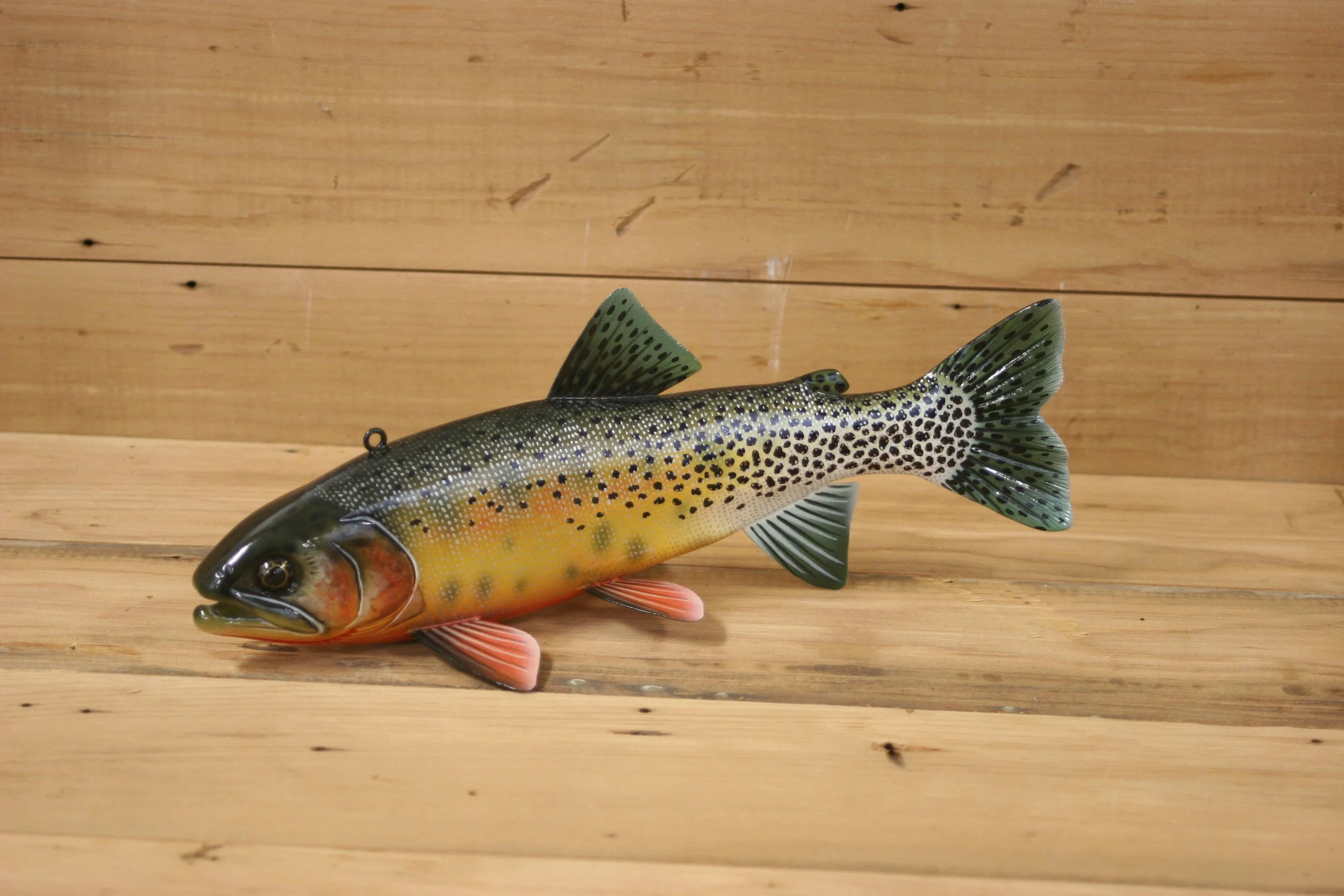 10" Cutthroat Trout by Jacob Sazama