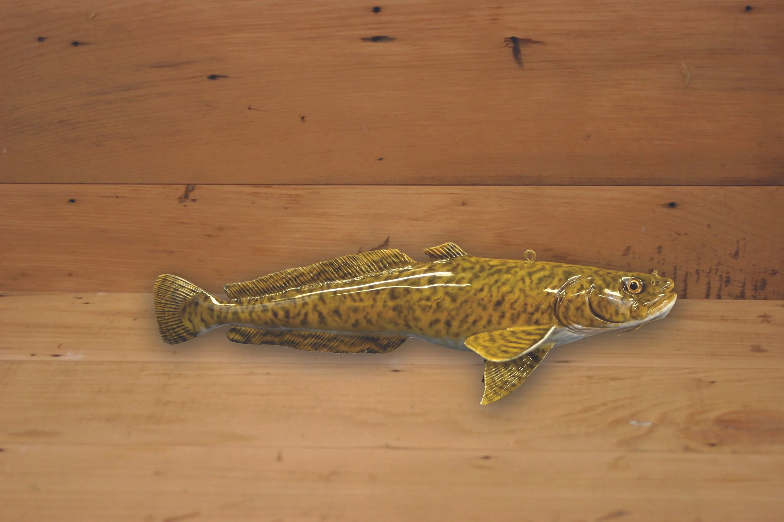 10" Airbrush Eel Pout by Harley Ragan