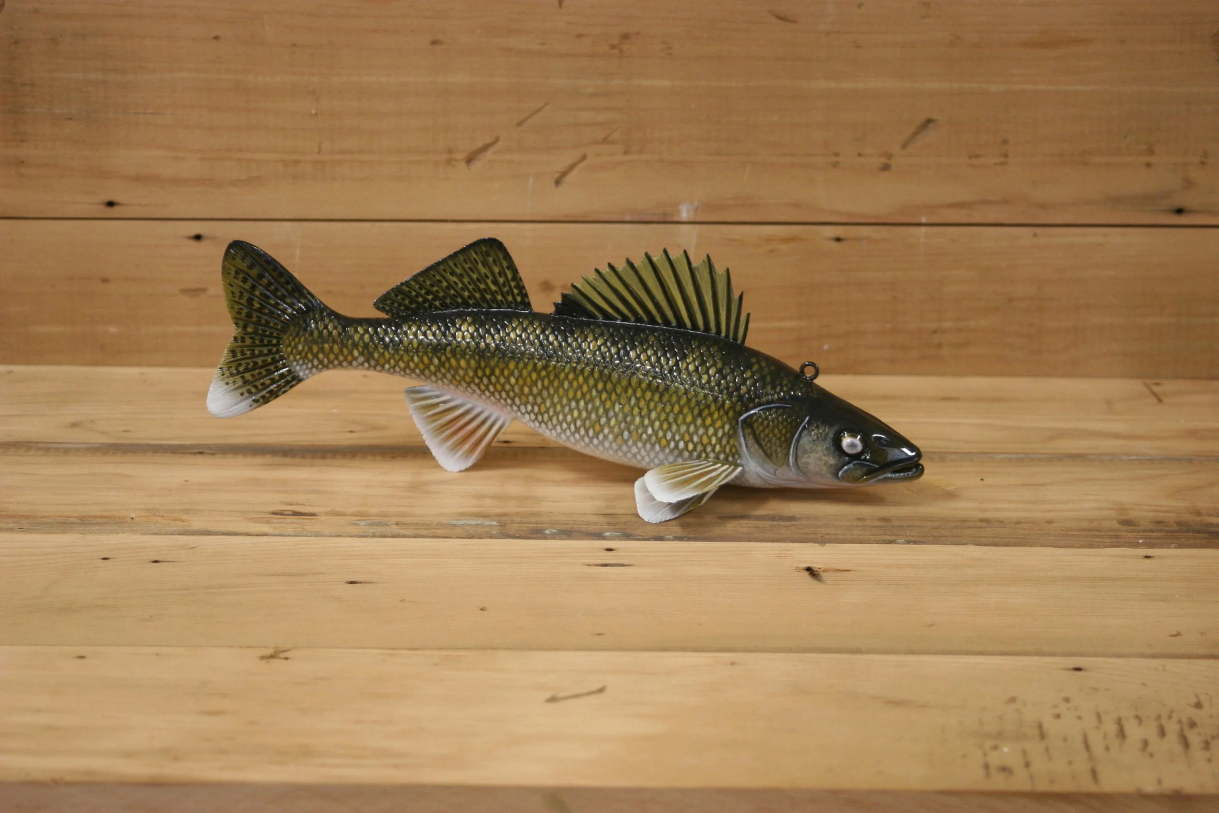 10" Walleye by Jacob Sazama