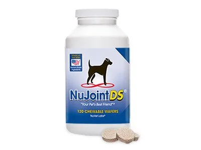 bottle of nujoint dog joint supplement