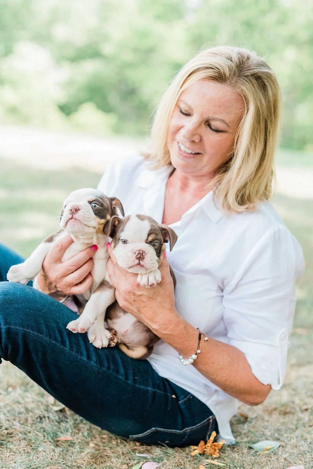 a person socializing outdoors with two english bulldog puppies
