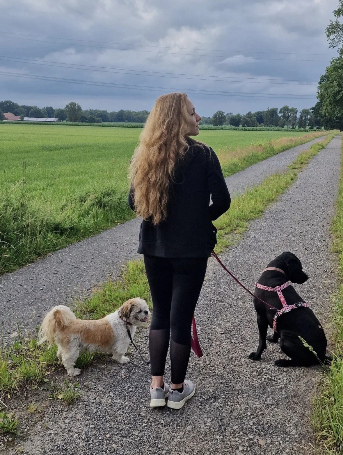Eine Frau mit langen blonden Haaren steht auf dem Feldweg, schwarz gekleidet, mit zwei Hunden an der Leine mit rosa Geschirr. Der eine Hund ist klein und beige und weiß farbig, der andere Hund größer und dunkelbraun.