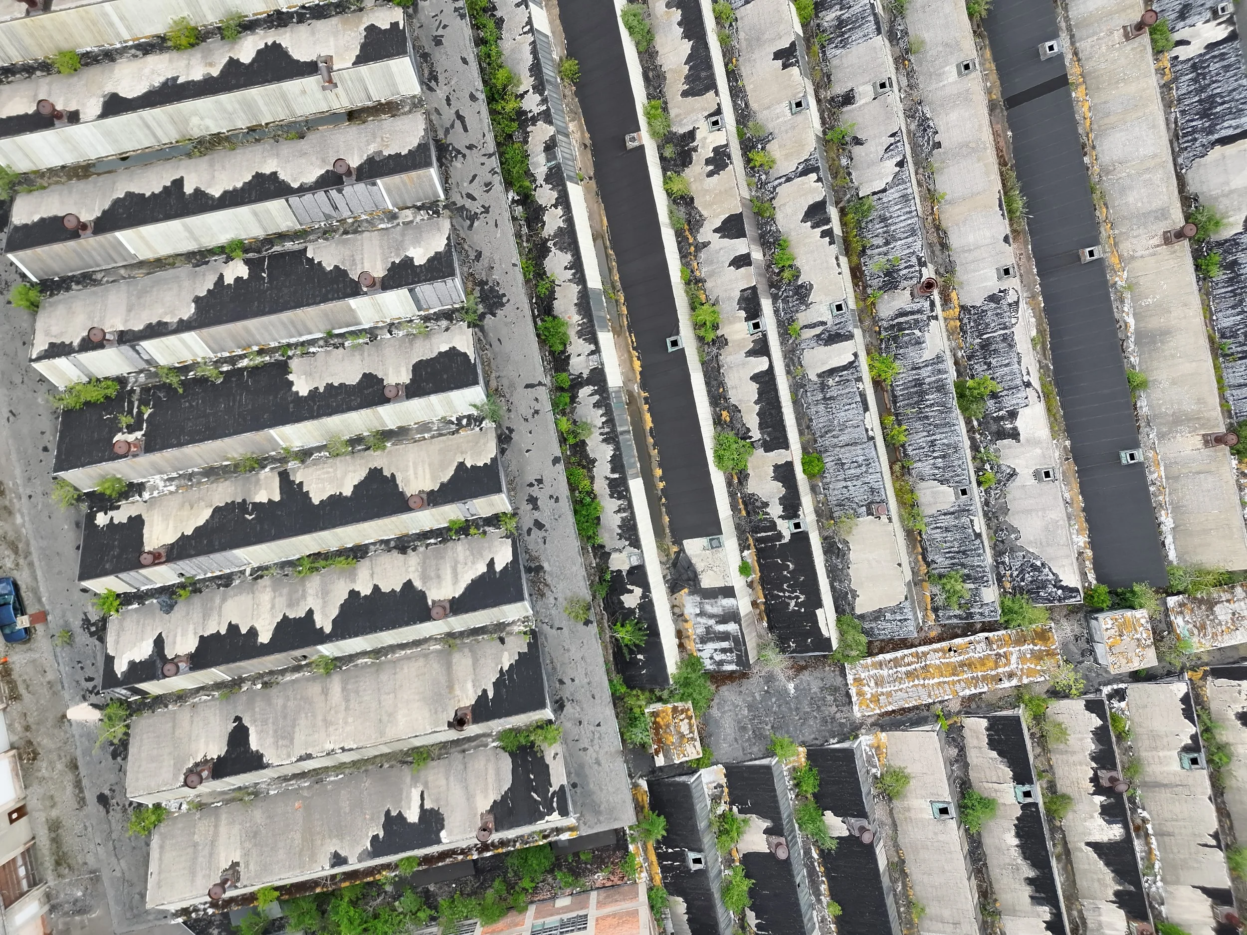 An aerial view of multiple abandoned and weathered rooftops of old buildings with some overgrown trees between them.