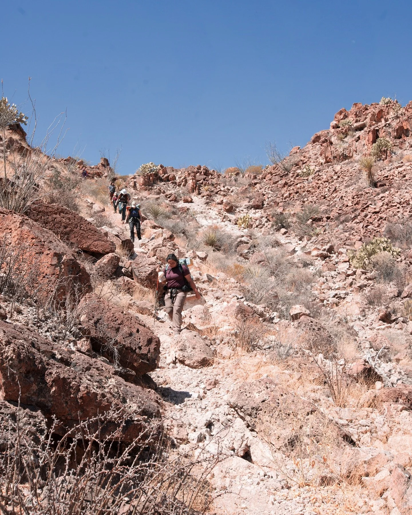 in the ups and downs of the desert

He remains there 

going into the desert this lent 

was messy for me 

but He remains 

#catholic #bigbend #travel #catholicphotography #jesus #lent #desert #hiking #backpacking
