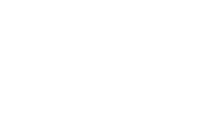 D.J. Art Mobile DJ Service