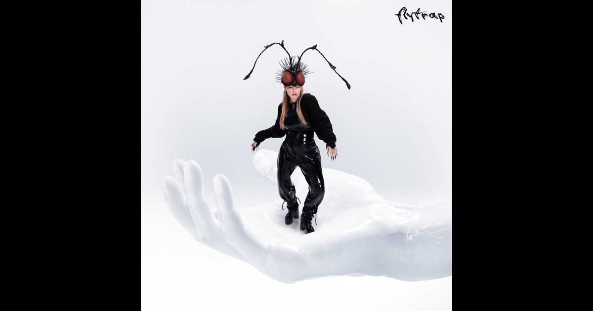 Chinchilla - Flytrap