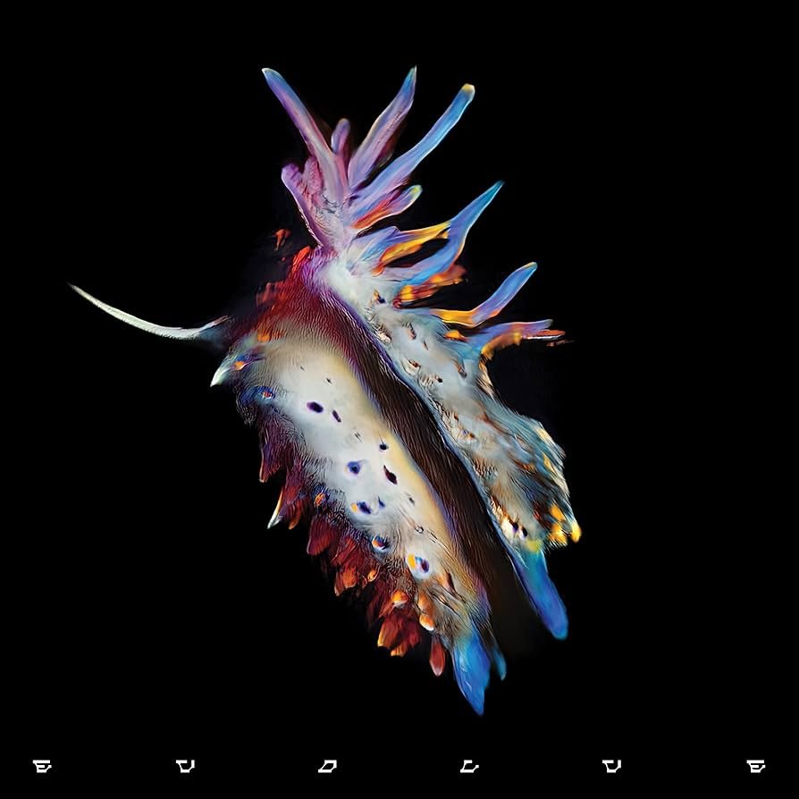 Sub Focus - Evolve