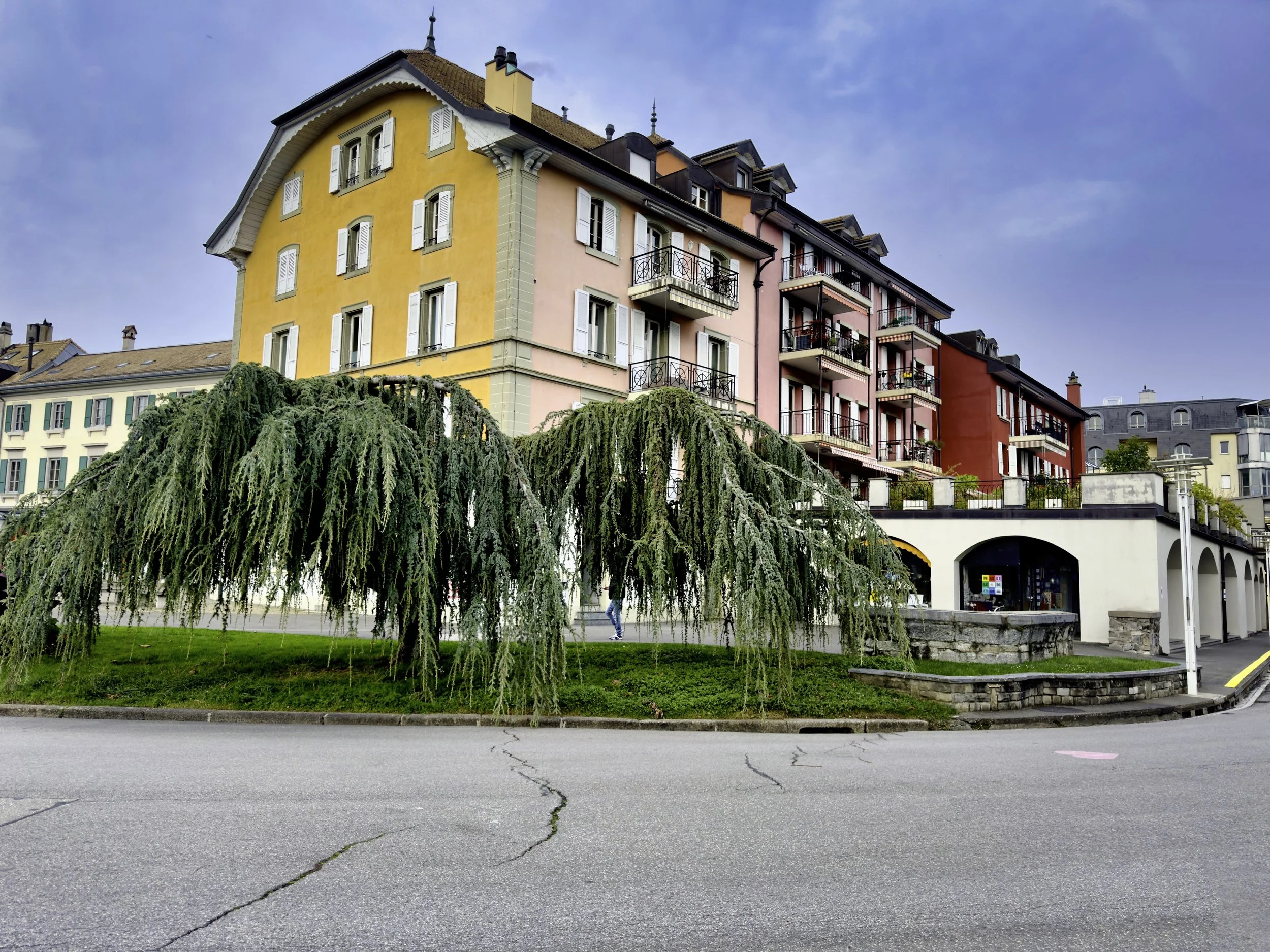 Wirestock, game over !