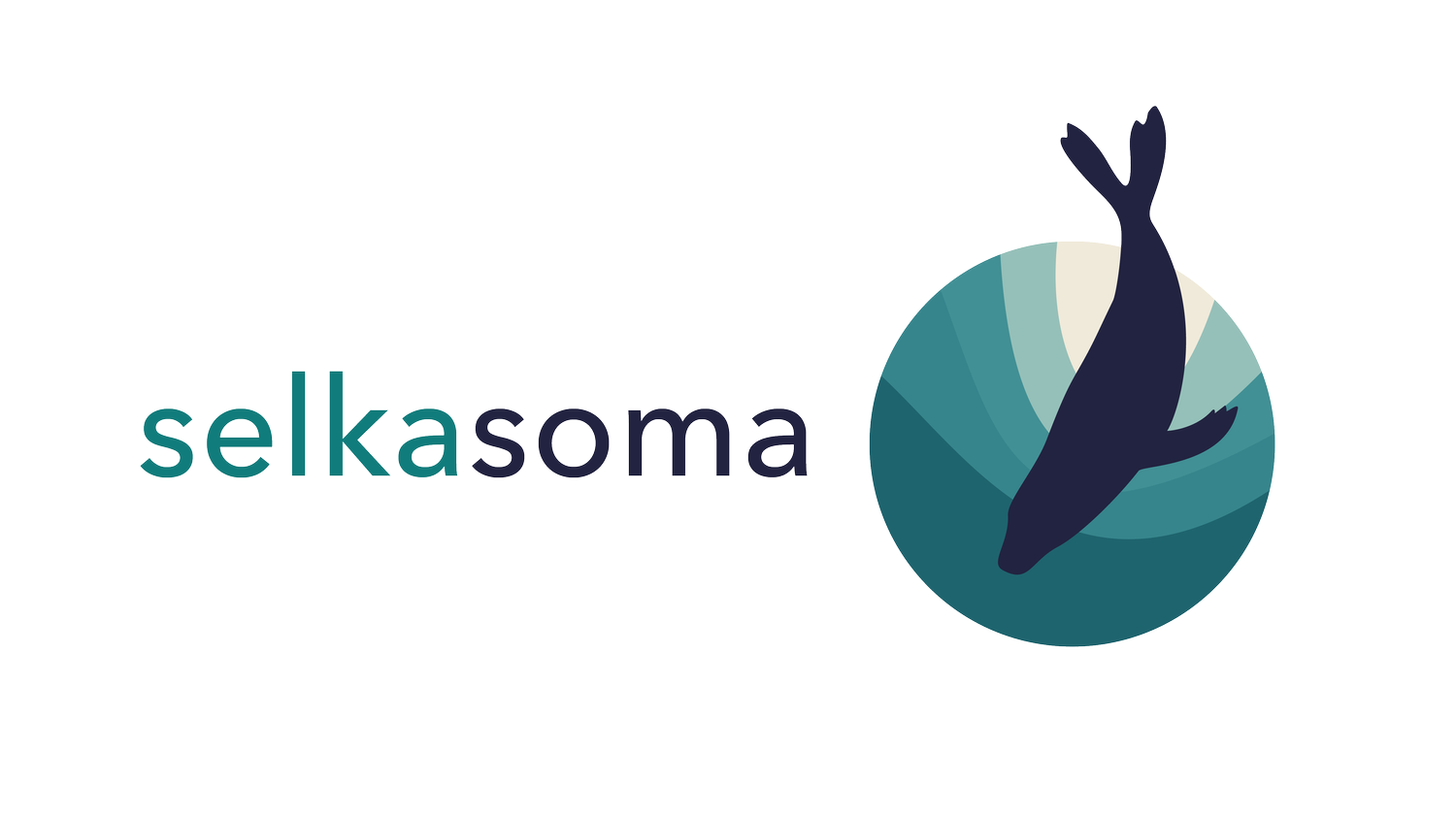 Selkasoma Embodiment Coaching and Nervous System Recovery