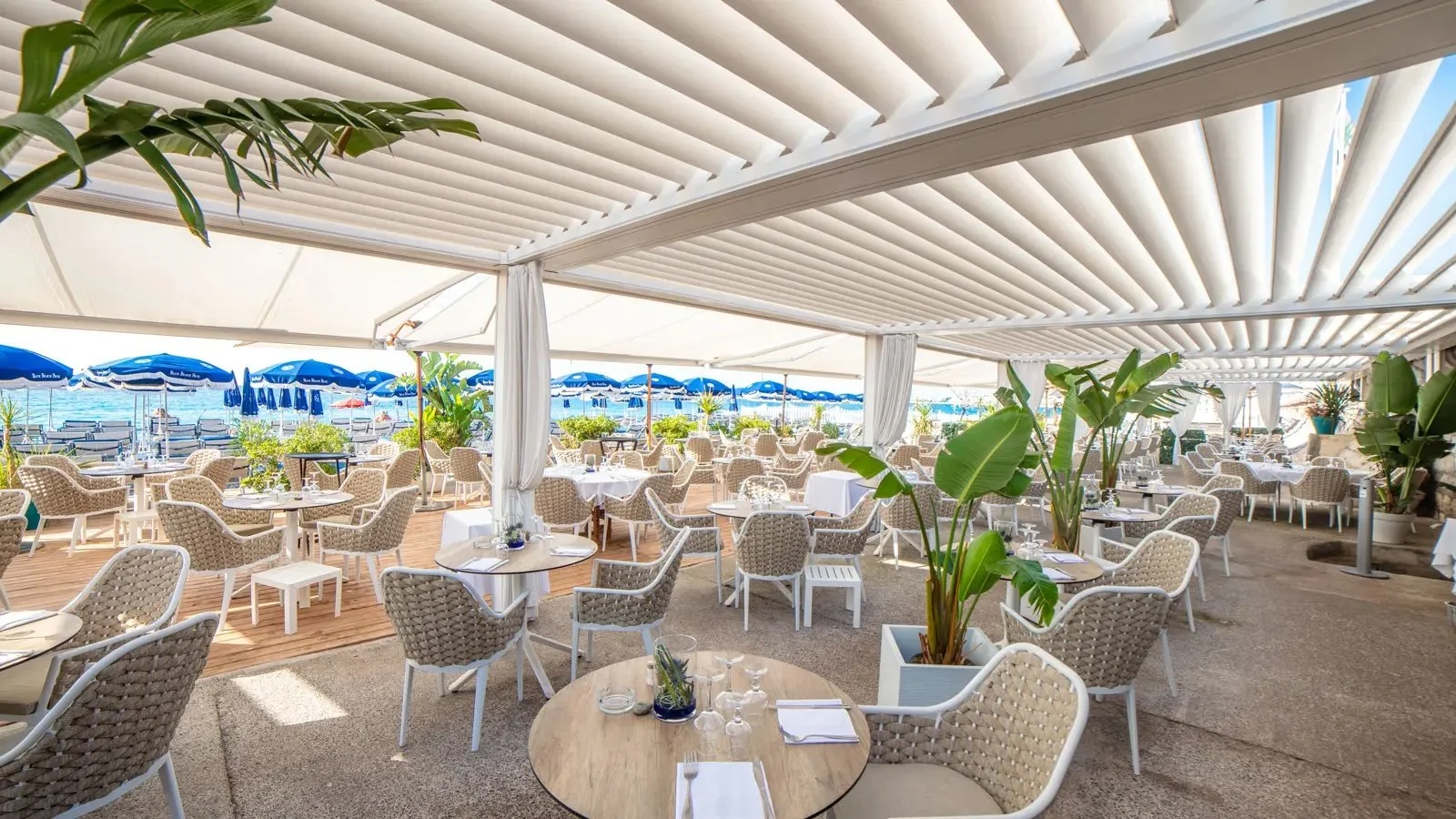 Outdoor restaurant with white chairs and tables, some set for dining, surrounded by green plants; ocean view with blue umbrellas and lounge chairs in the background.
