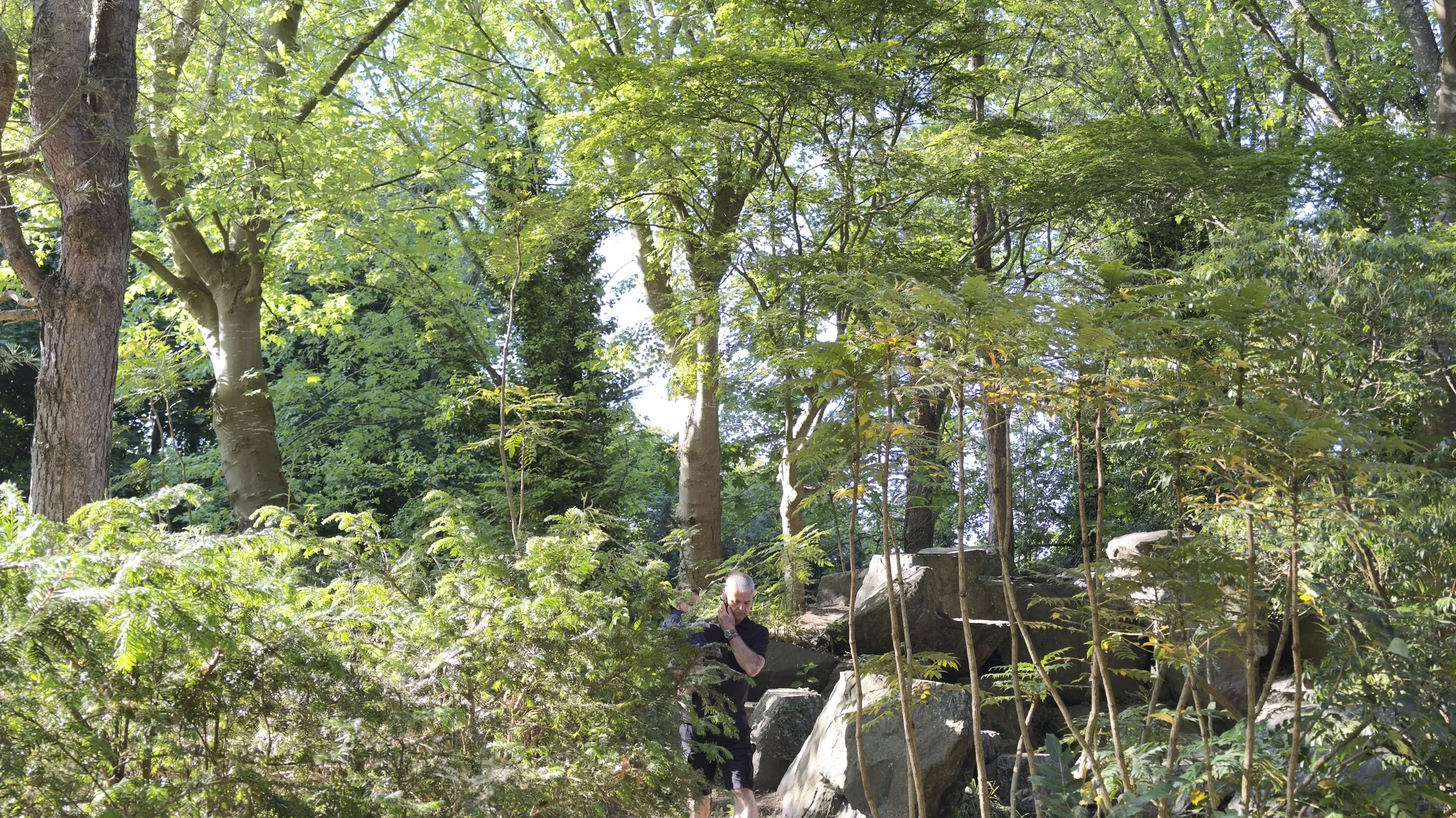 How Much Does a Tree Surgeon Cost in Liverpool? (2026 Guide)