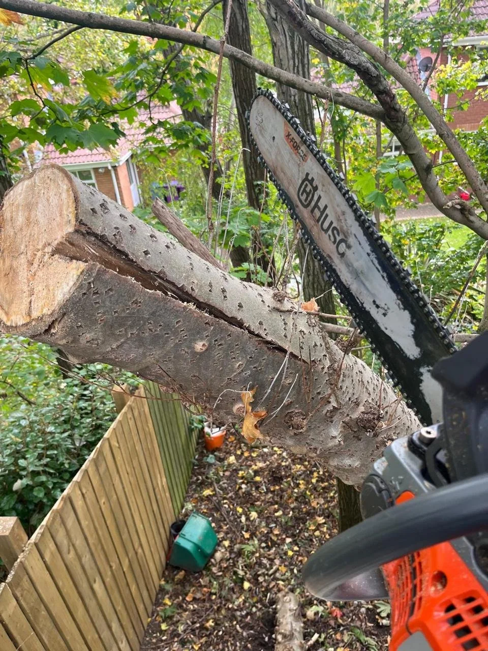 Our Professional Tree surgeons in Liverpool removing a tree that was falling on Neighbours backyard